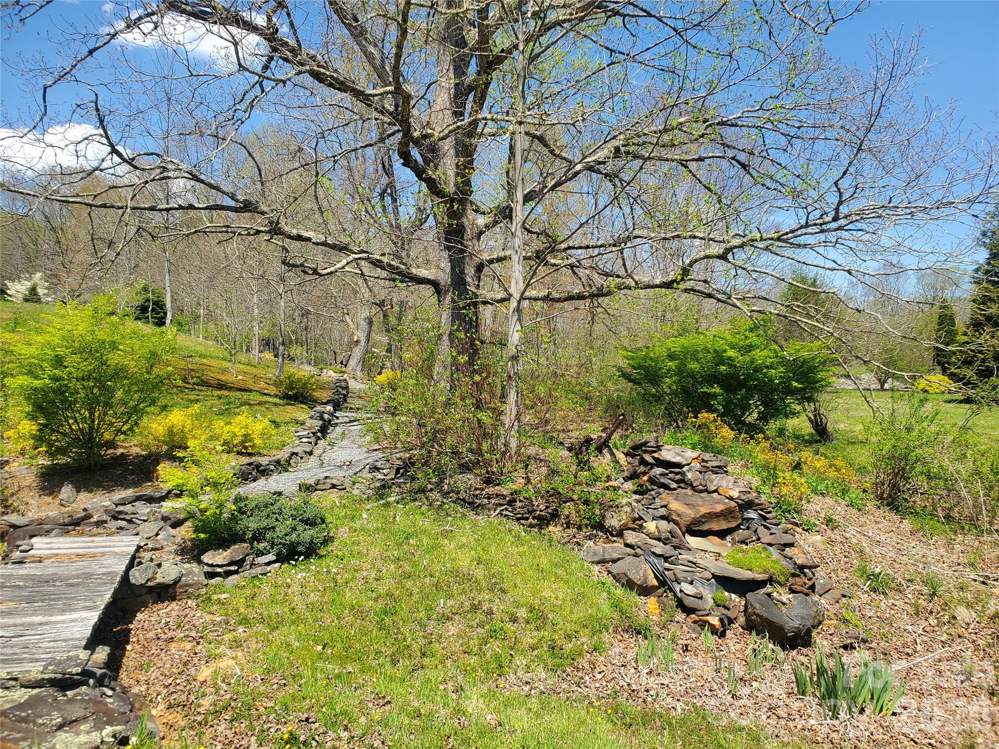 Lot 1 Elk Creek Mountain Parkway Property Photo 5