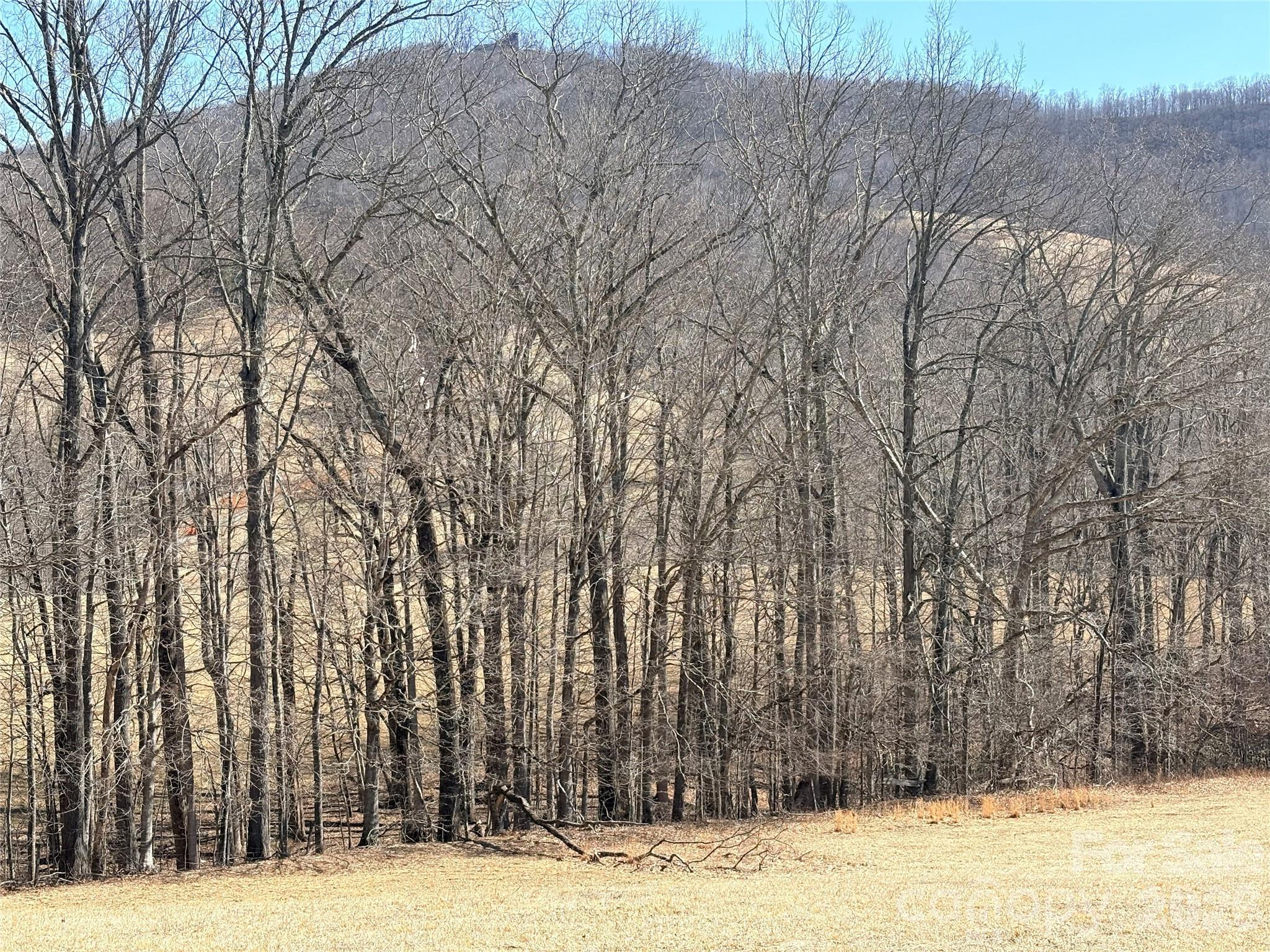 Lot 1 Elk Creek Mountain Parkway Property Photo 16