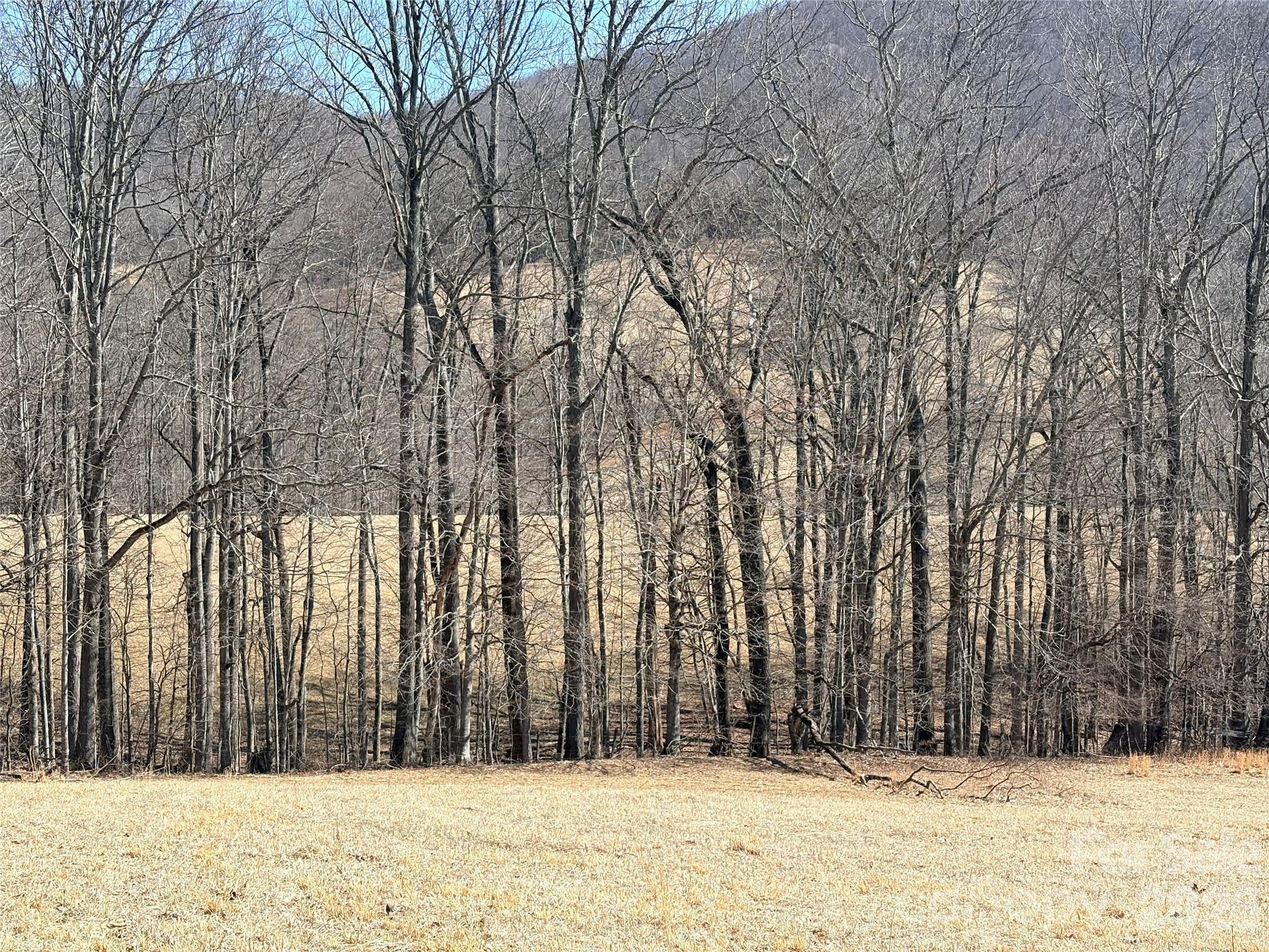 Lot 1 Elk Creek Mountain Parkway Property Photo 19