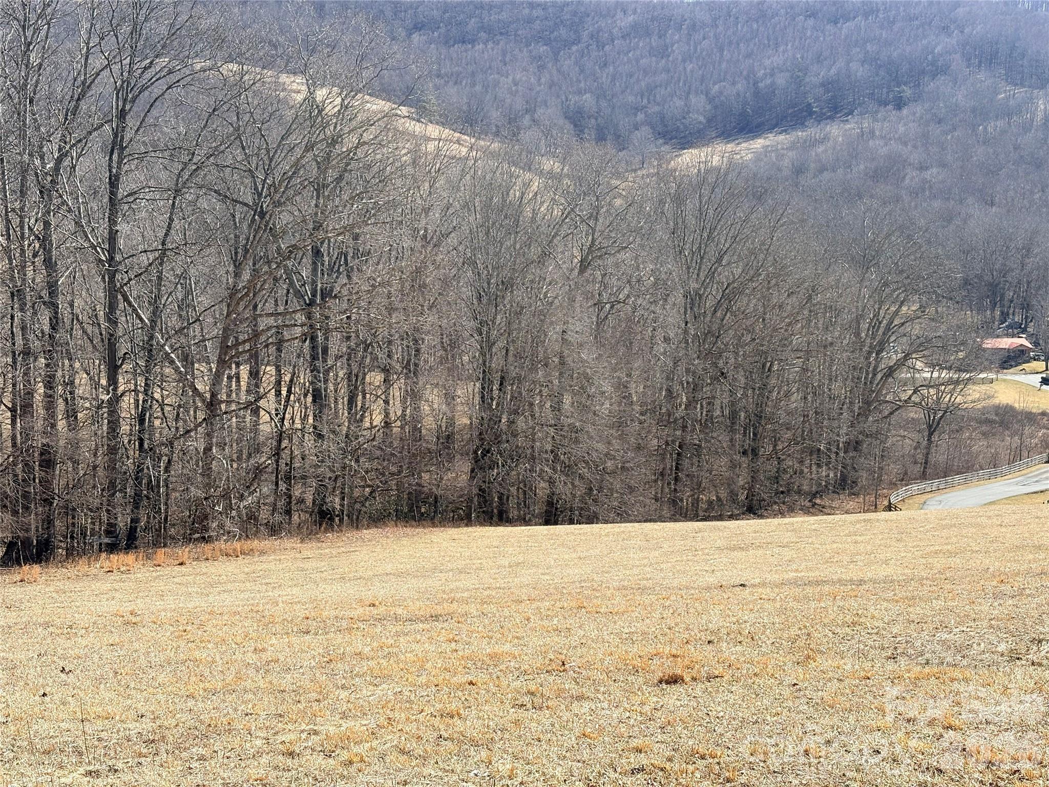Lot 1 Elk Creek Mountain Parkway Property Photo 20