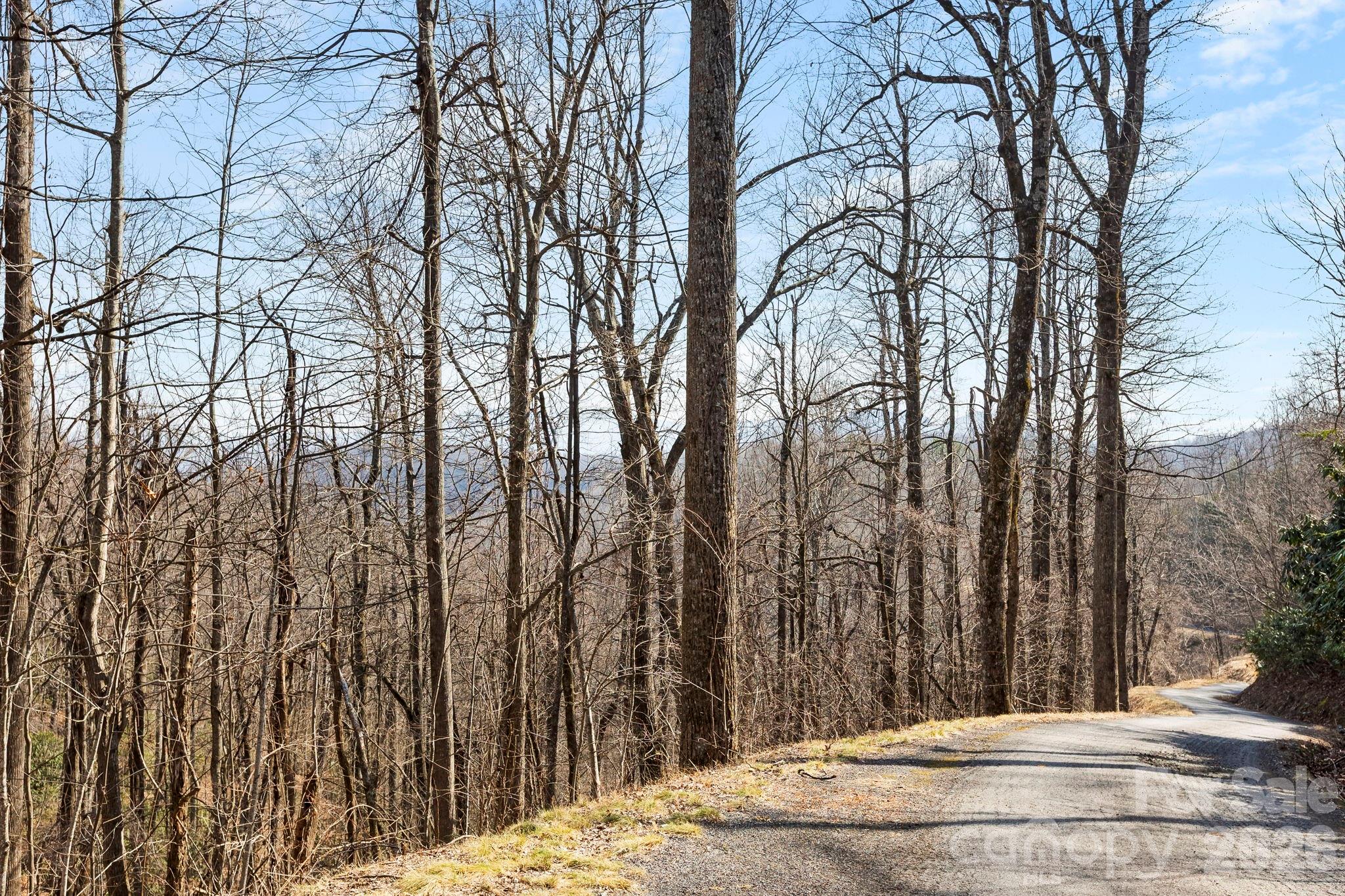 Lot 5 Laurel Mountain Trail Property Photo 3