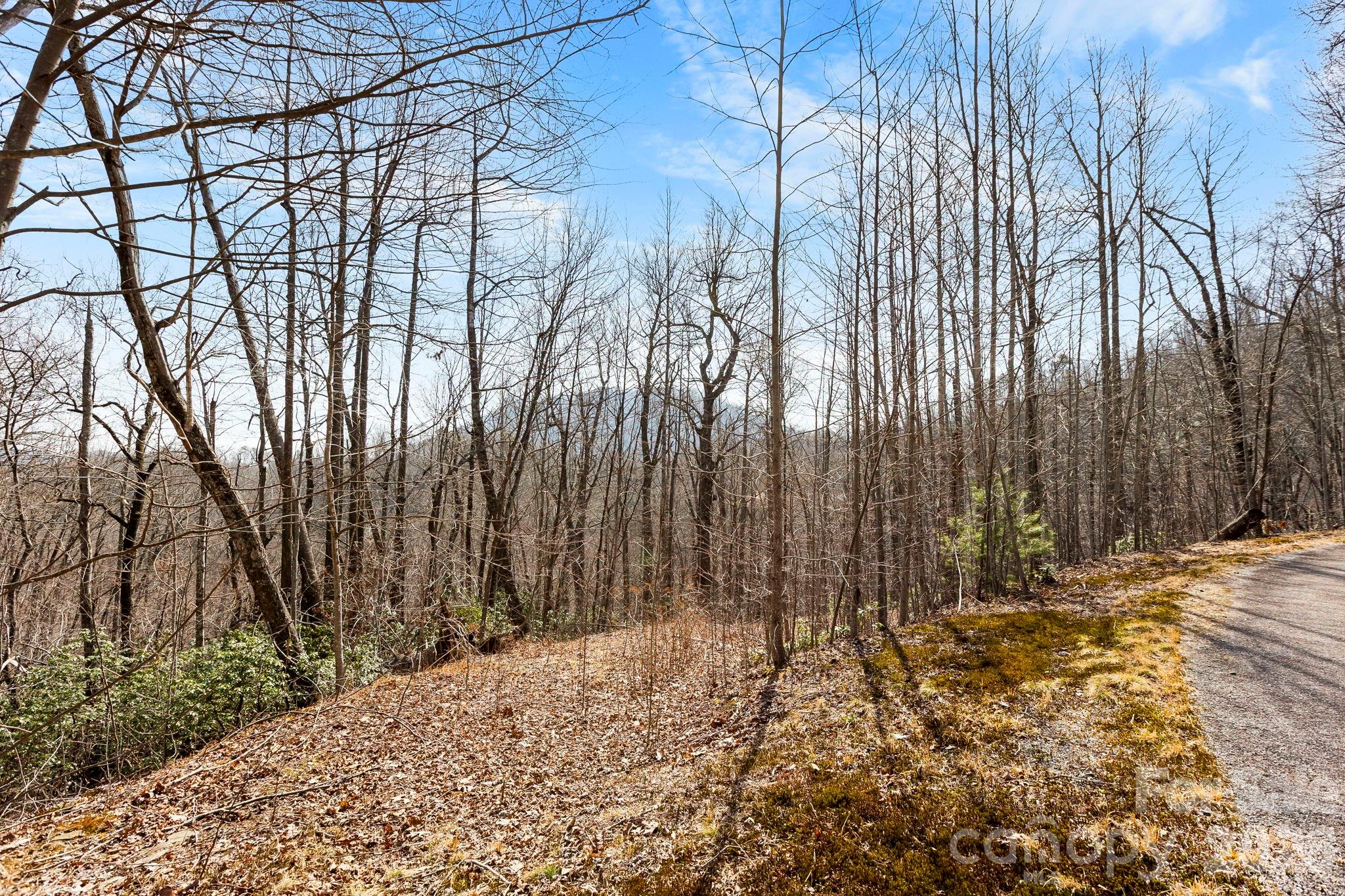 Lot 5 Laurel Mountain Trail Property Photo 4
