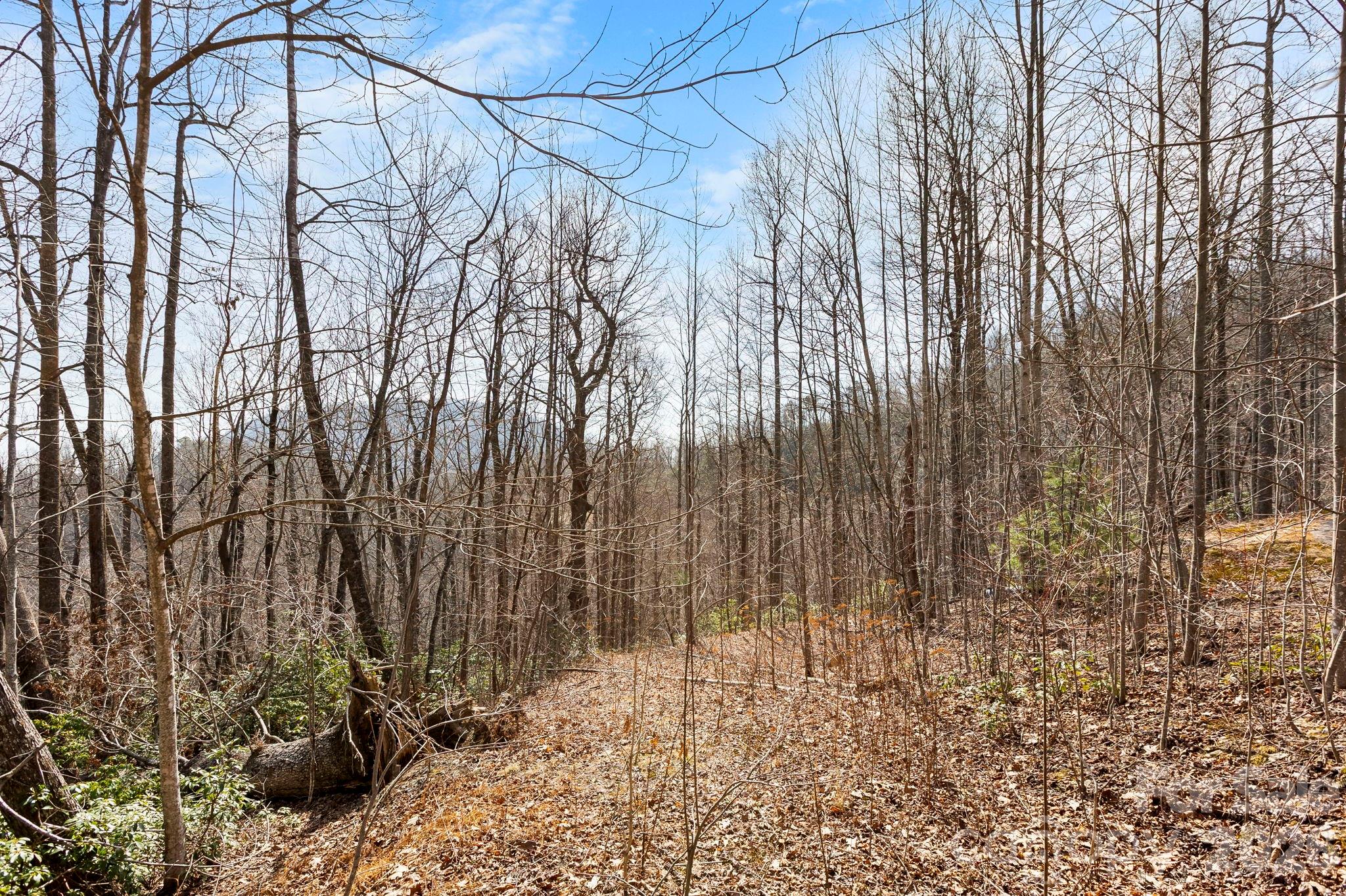 Lot 5 Laurel Mountain Trail Property Photo 5