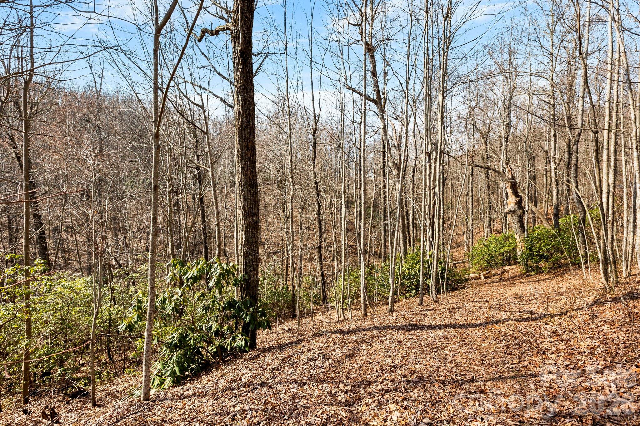 Lot 5 Laurel Mountain Trail Property Photo 6