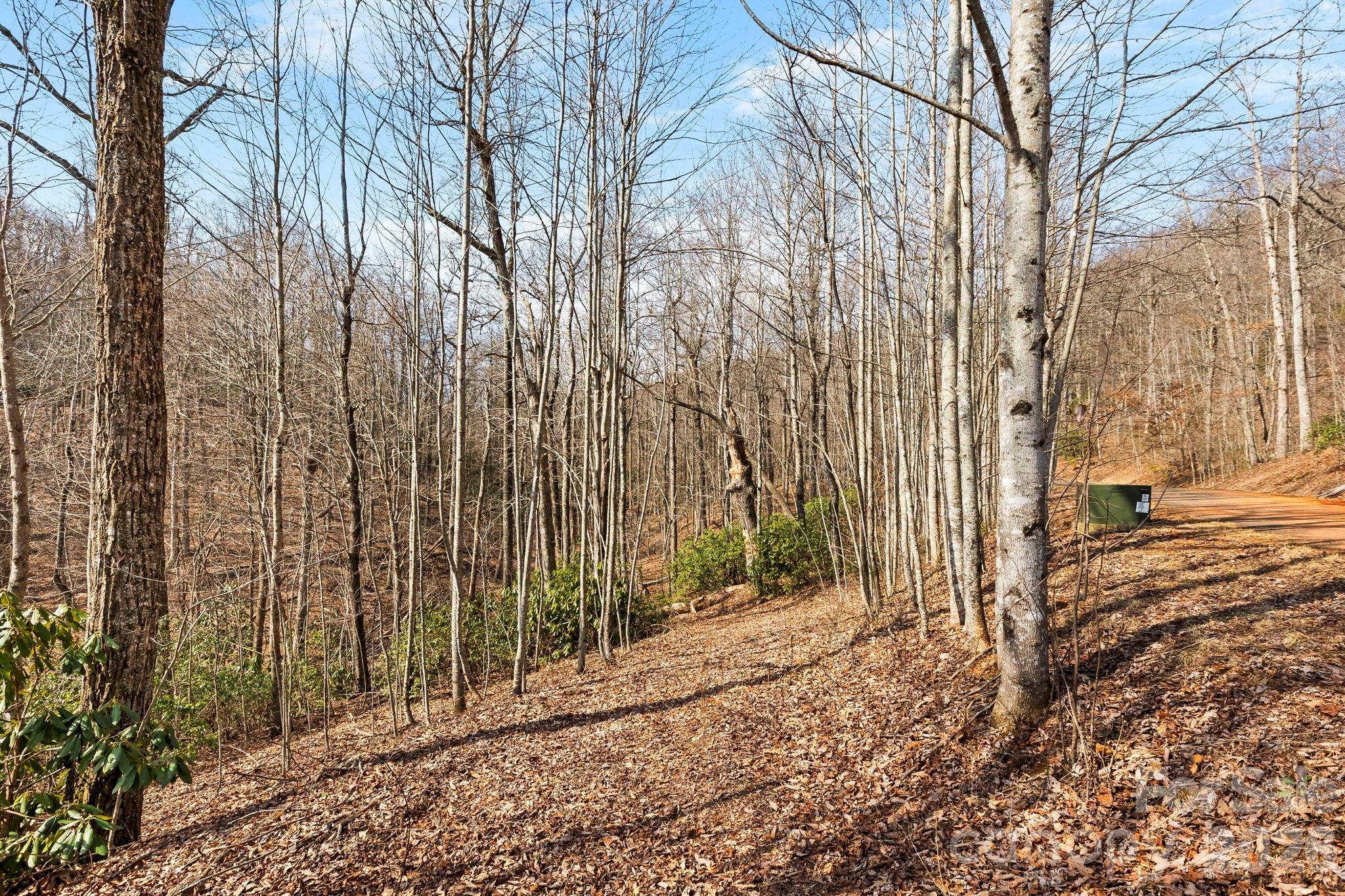 Lot 5 Laurel Mountain Trail Property Photo 7