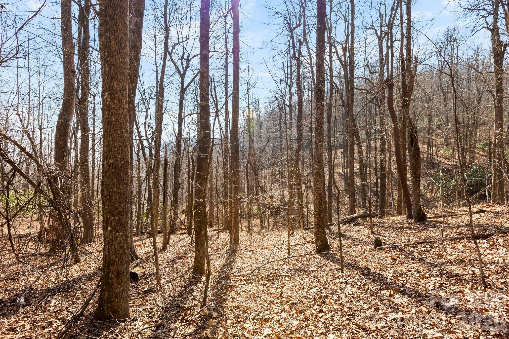 Lot 5 Laurel Mountain Trail Property Photo 8