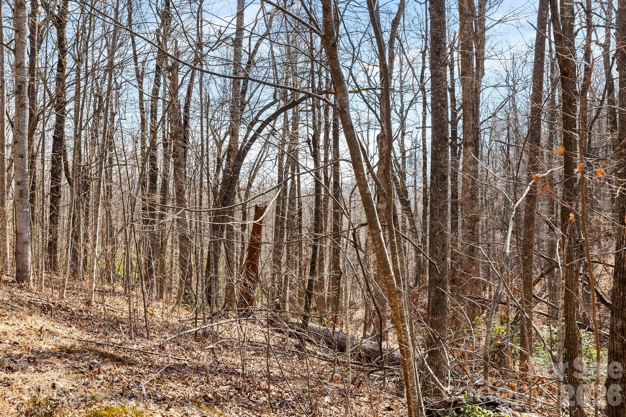 Lot 5 Laurel Mountain Trail Property Photo 9
