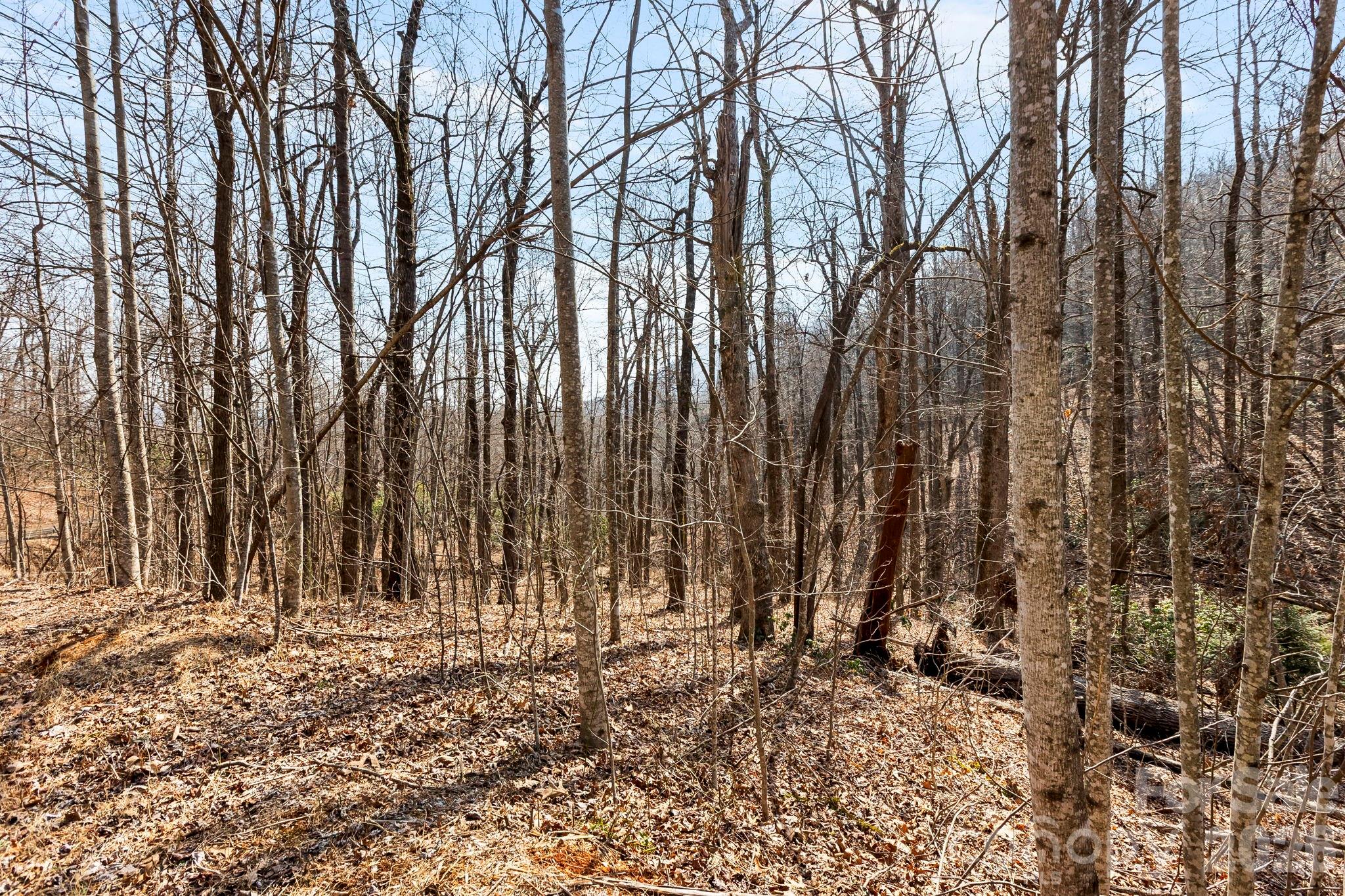 Lot 5 Laurel Mountain Trail Property Photo 10