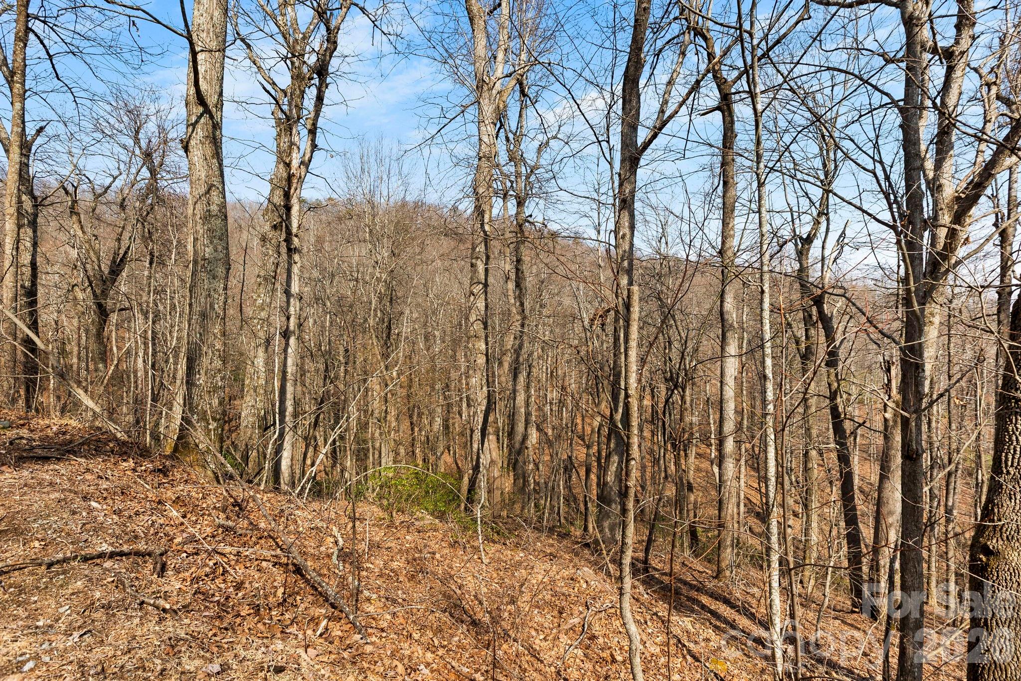 Lot 5 Laurel Mountain Trail Property Photo 11