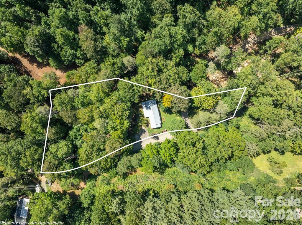 347 Blackberry Inn Road Property Photo 6