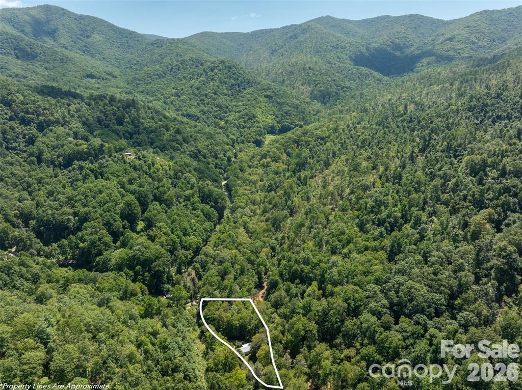347 Blackberry Inn Road Property Photo 7