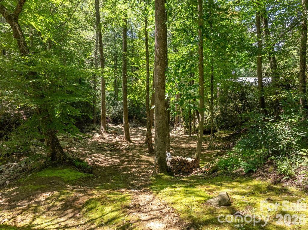 347 Blackberry Inn Road Property Photo 29