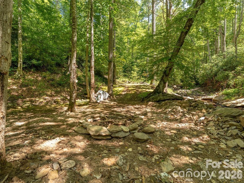 347 Blackberry Inn Road Property Photo 31