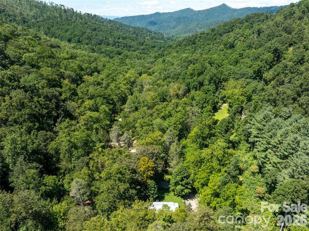347 Blackberry Inn Road Property Photo 33
