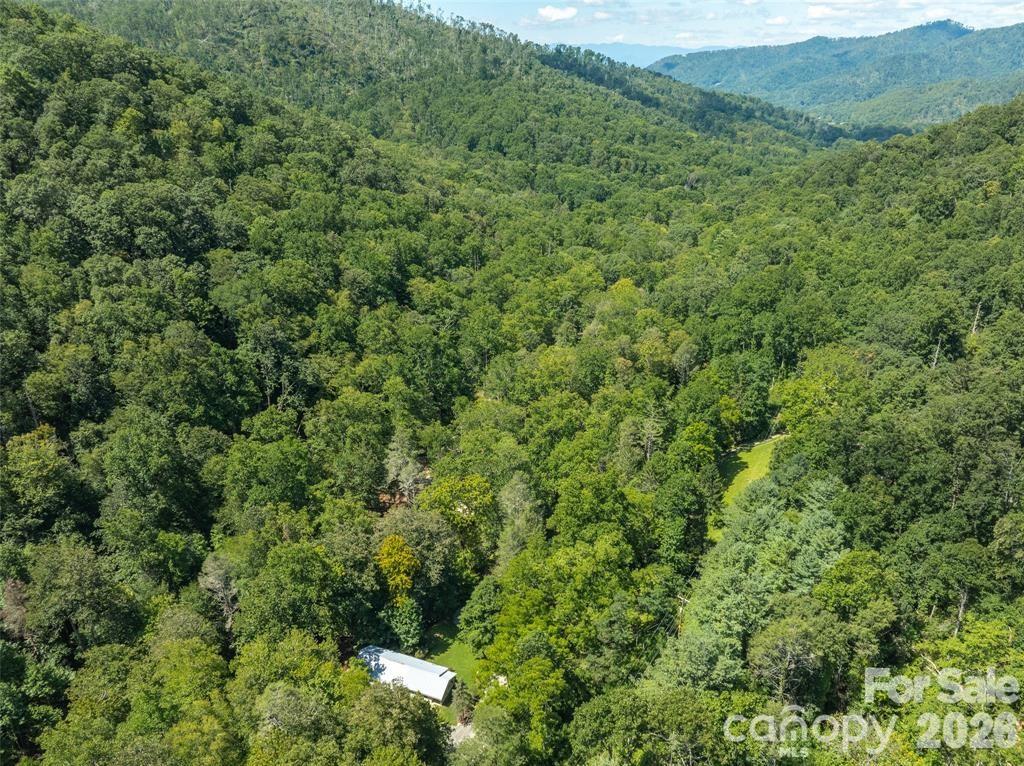 347 Blackberry Inn Road Property Photo 39