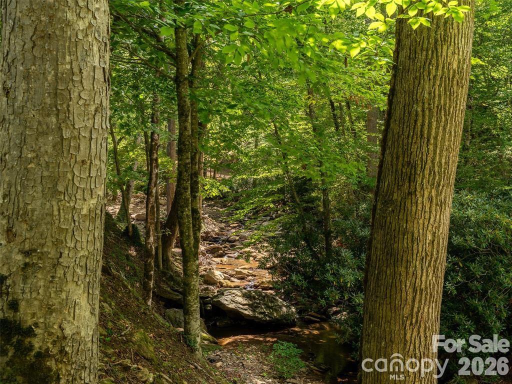 347 Blackberry Inn Road Property Photo 41