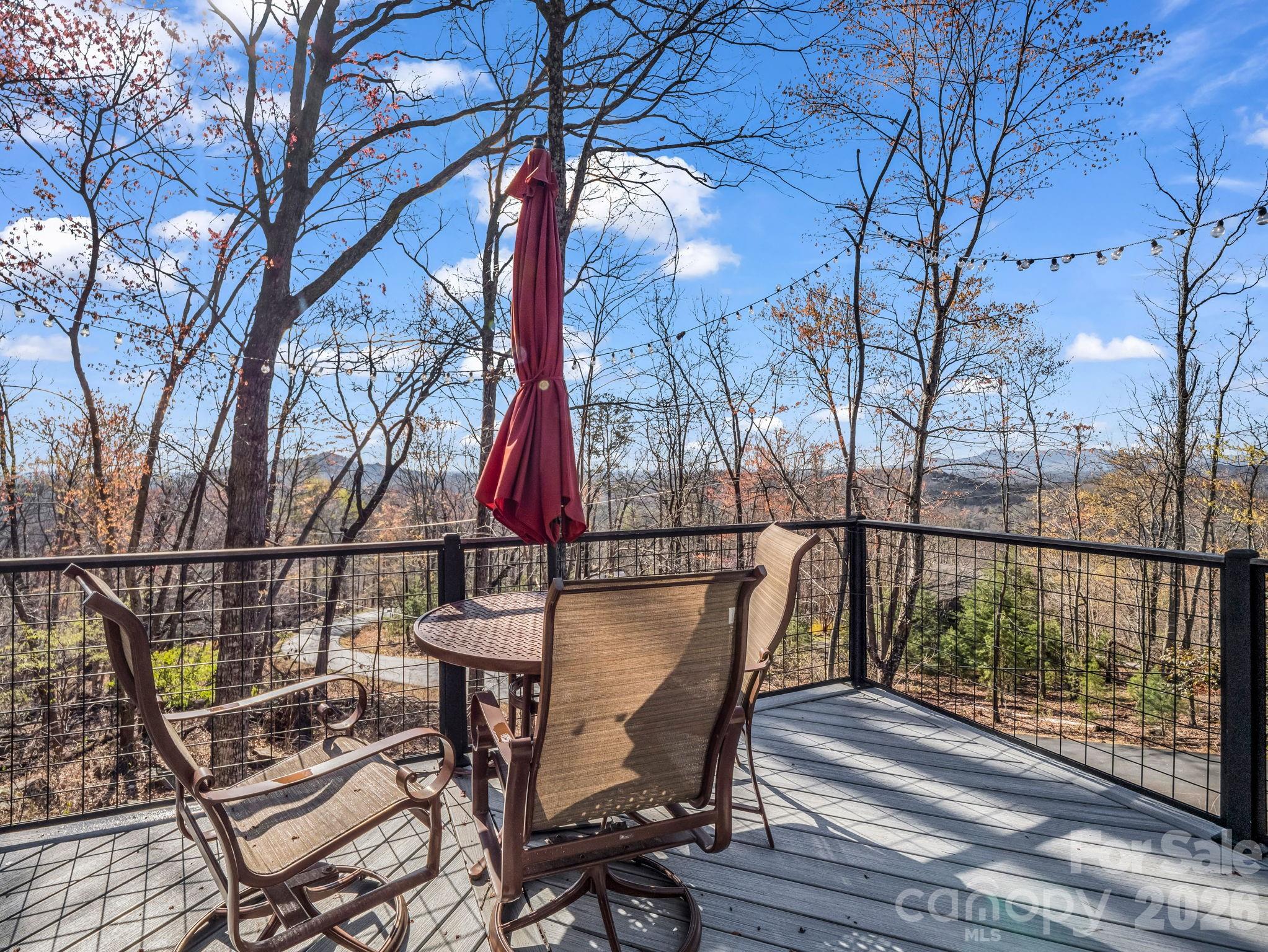 456 Youngs Mountain Drive Property Photo 26