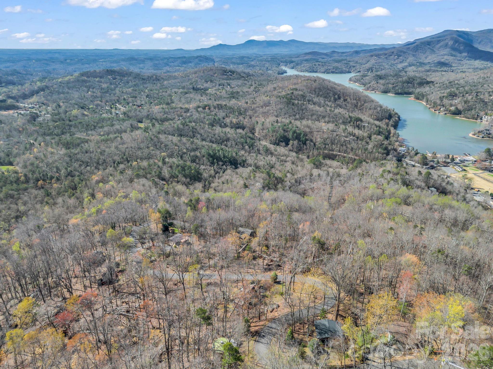 456 Youngs Mountain Drive Property Photo 29