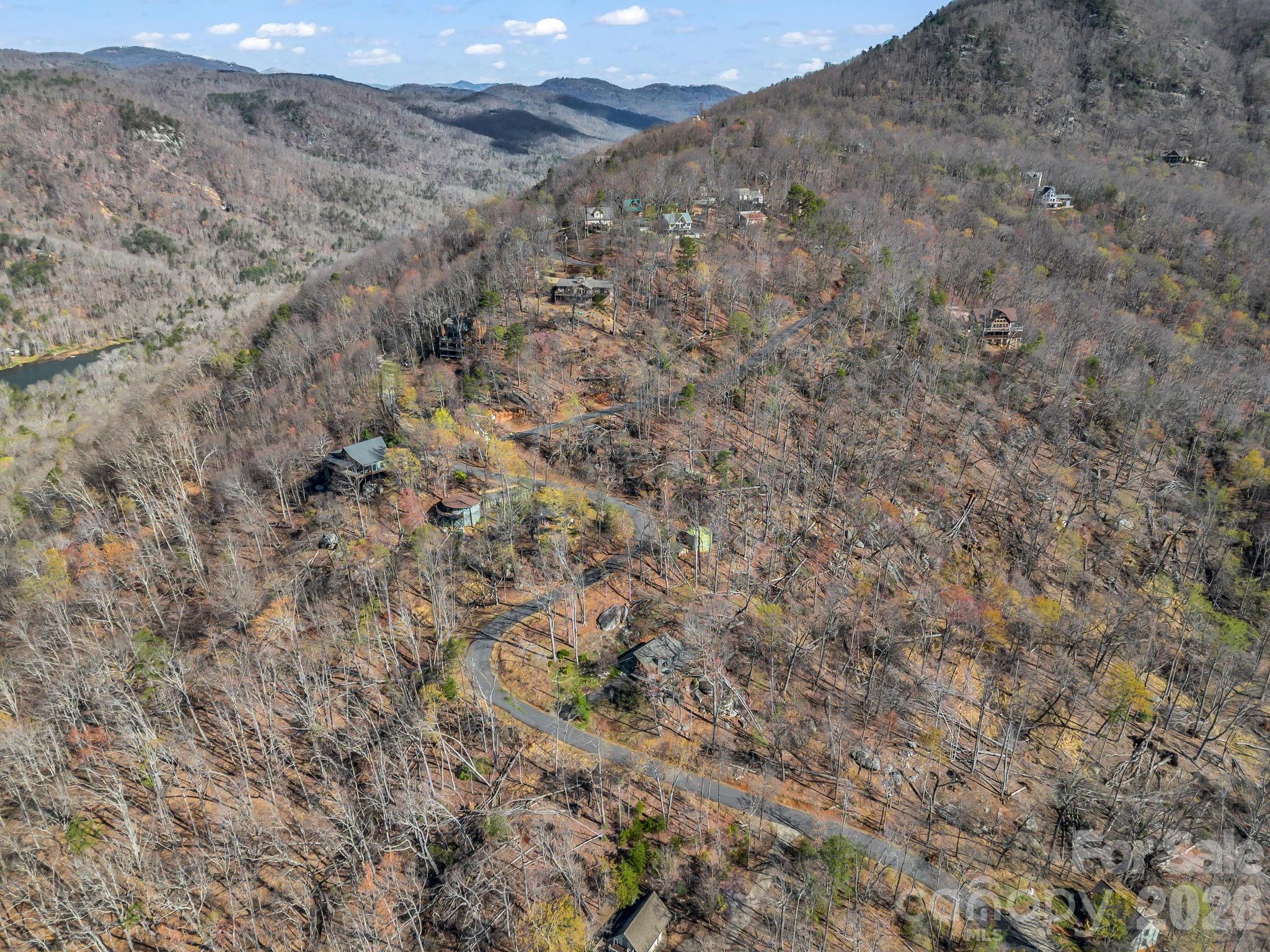 456 Youngs Mountain Drive Property Photo 30