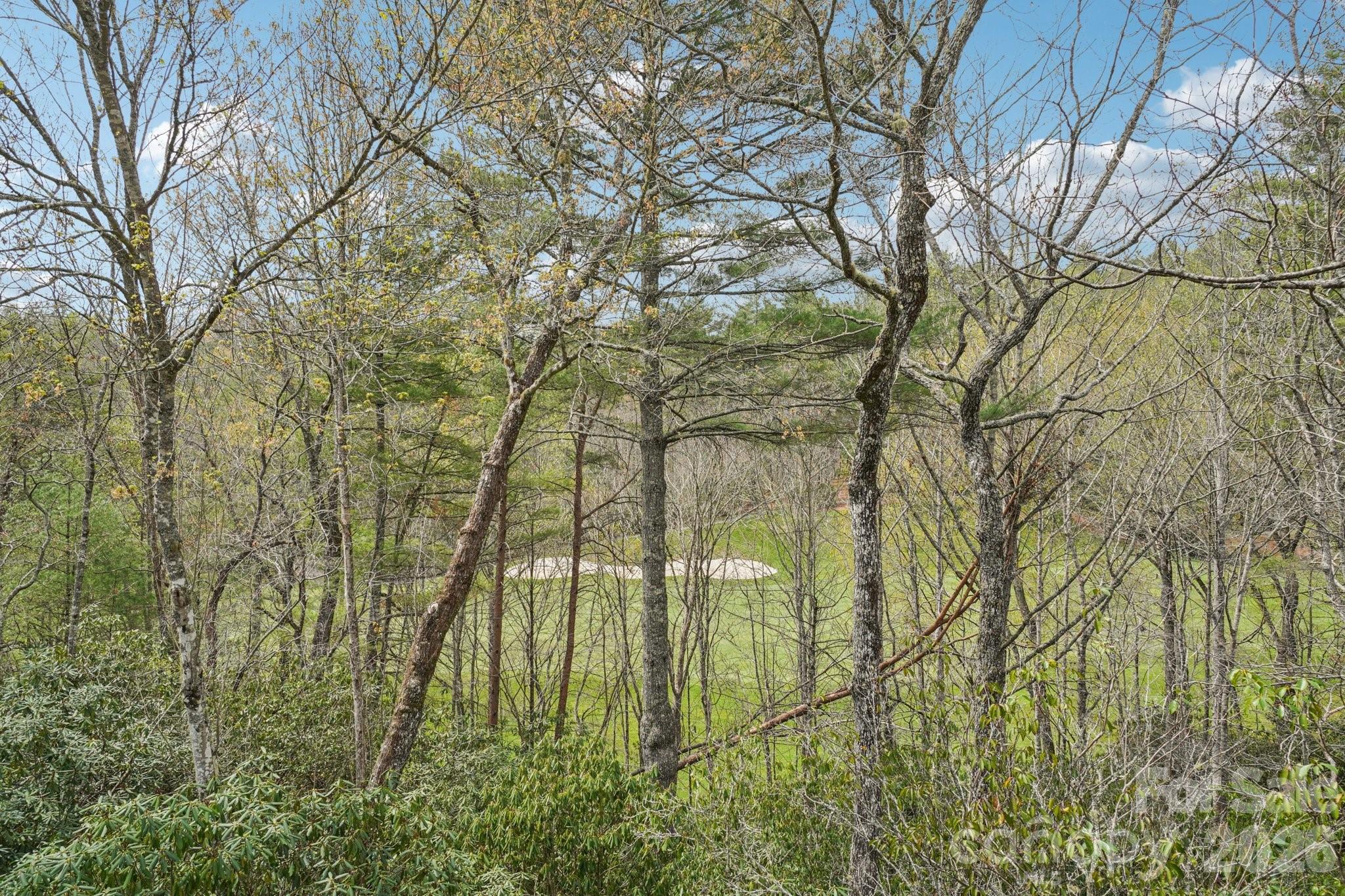 304 Pine Forest Trace Property Photo 48