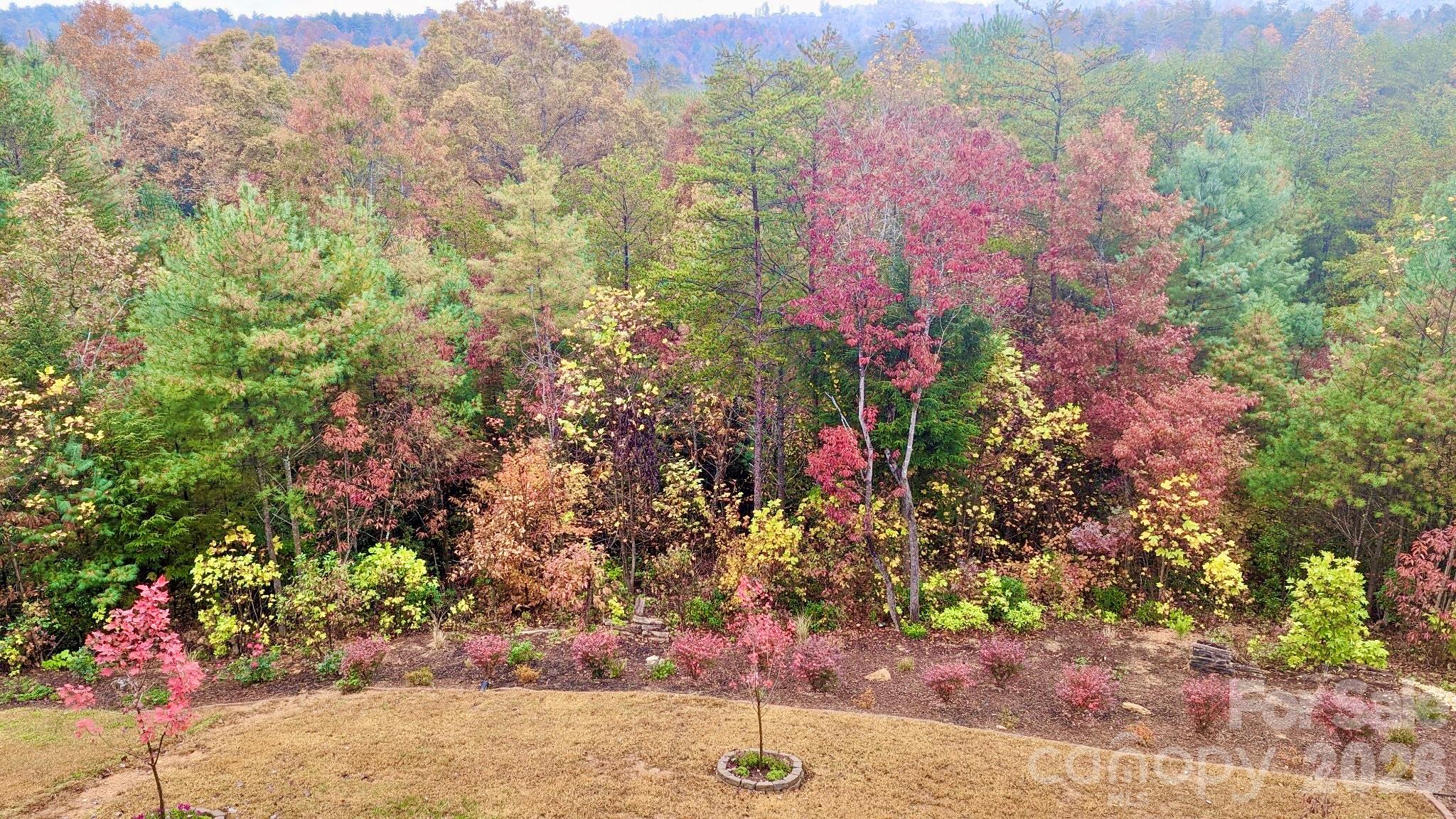 1510 High Valley Way Property Photo 15