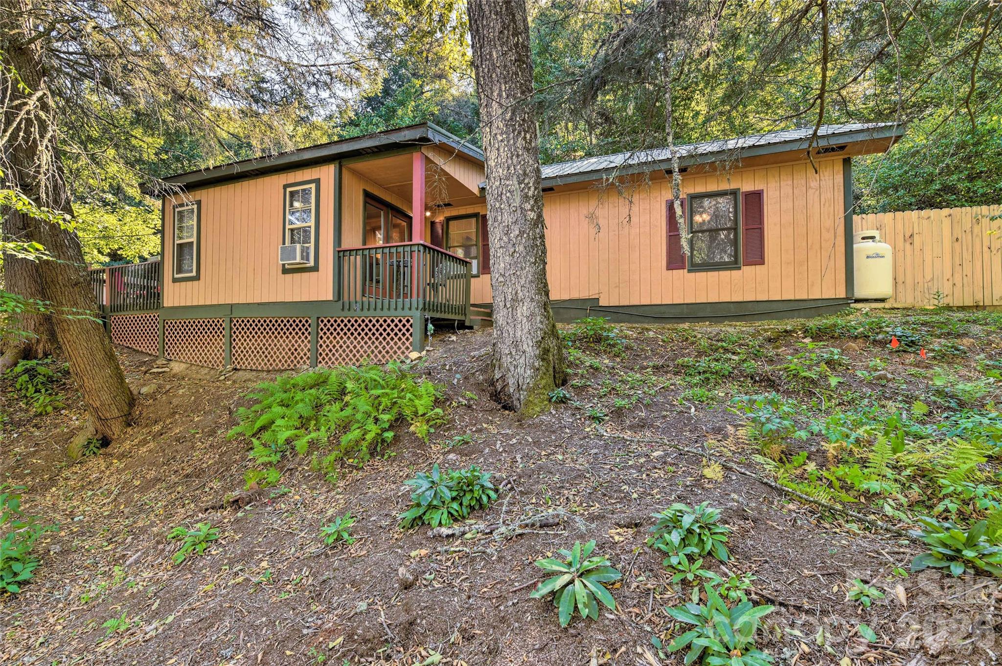 242 Plott Balsam Road Property Photo 2