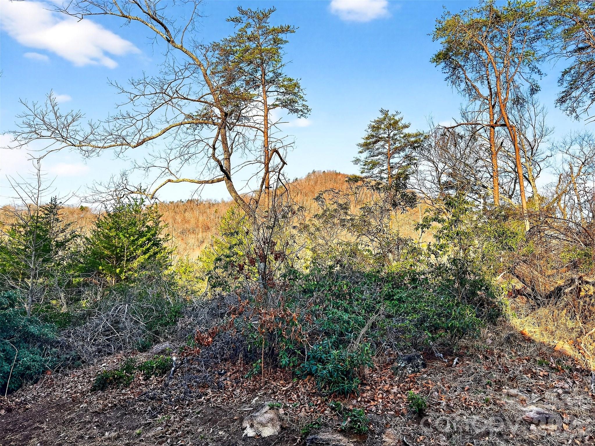 345 Lower Switchback Road Property Photo 30