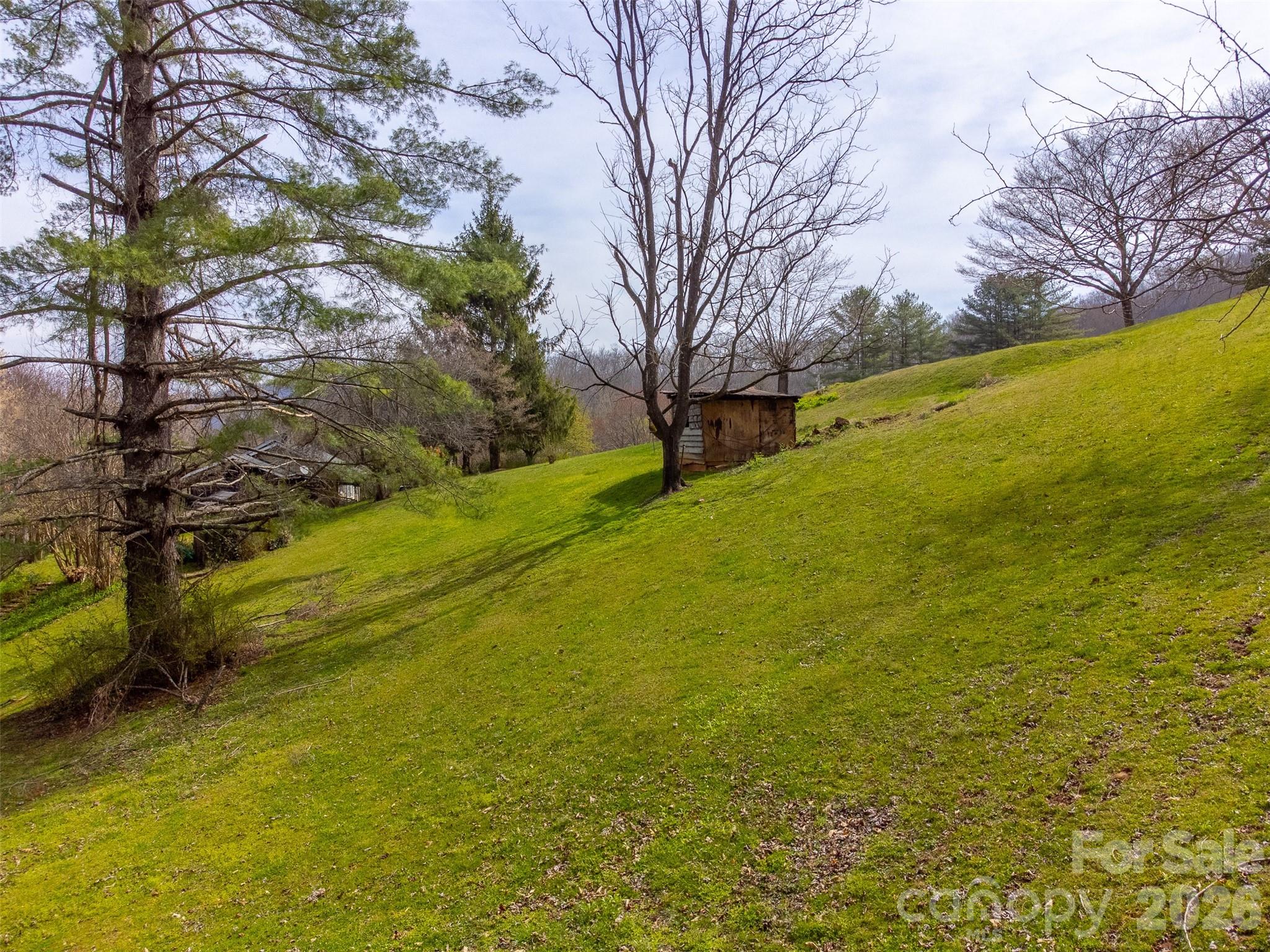 318 Sunrise Park Property Photo 39