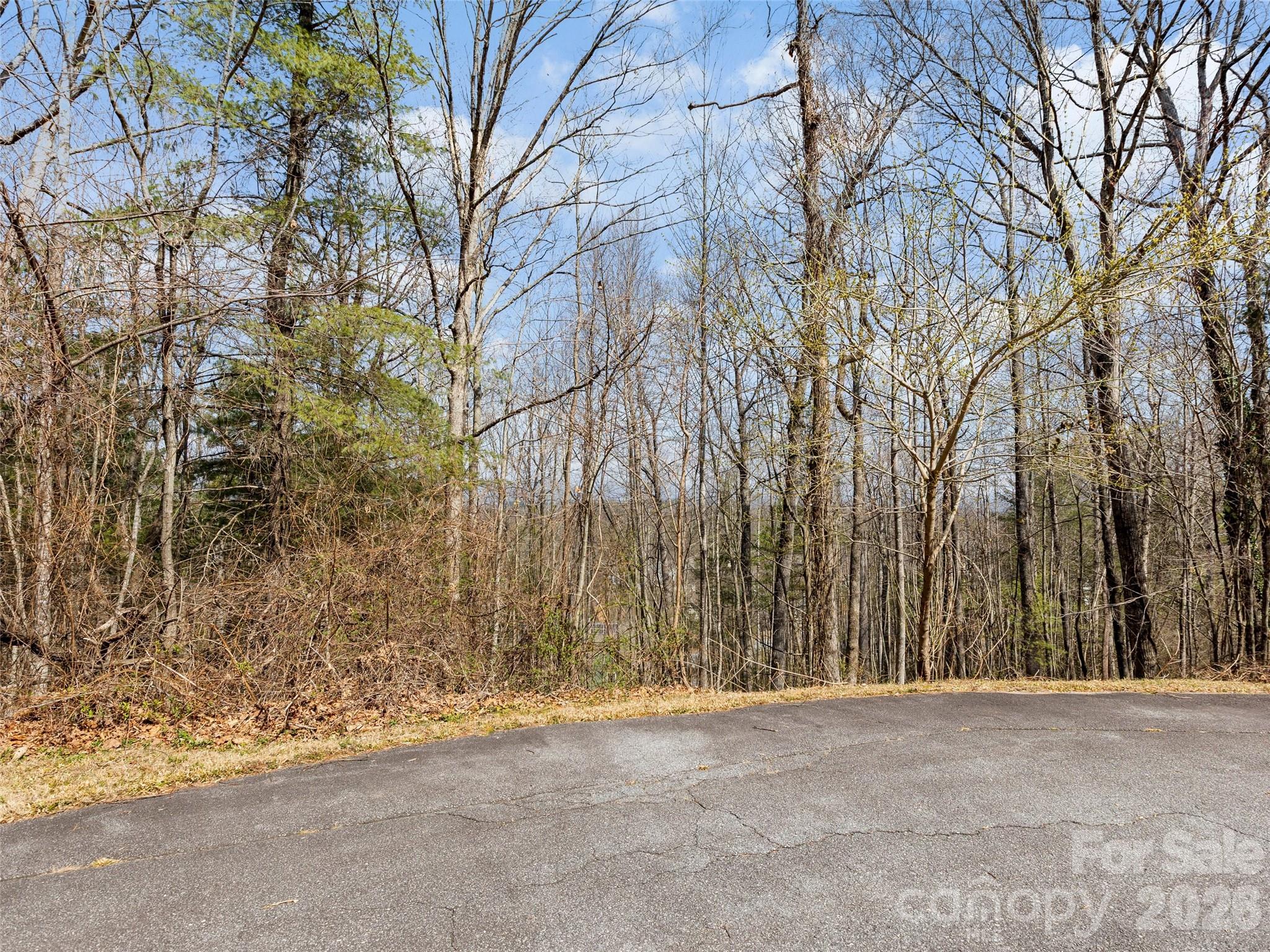 96 Turkey Roost Court Property Photo 9