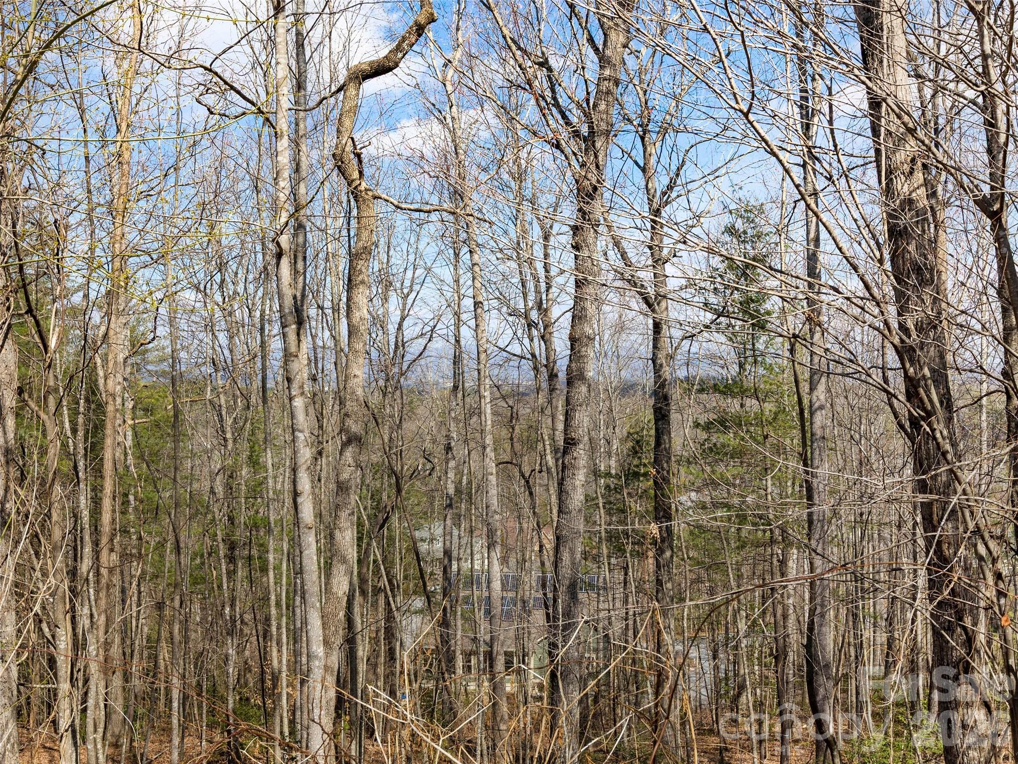96 Turkey Roost Court Property Photo 10