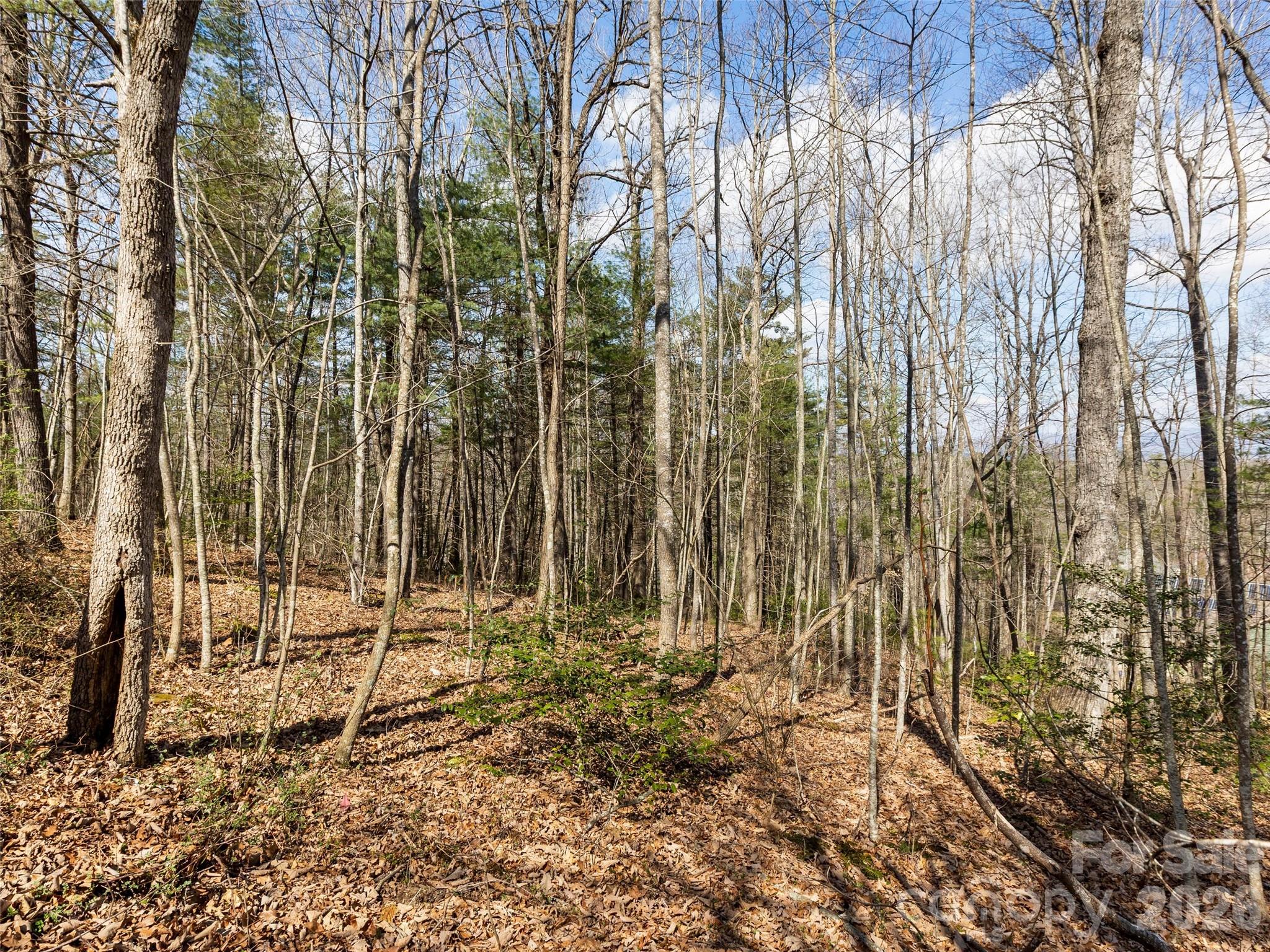 96 Turkey Roost Court Property Photo 11