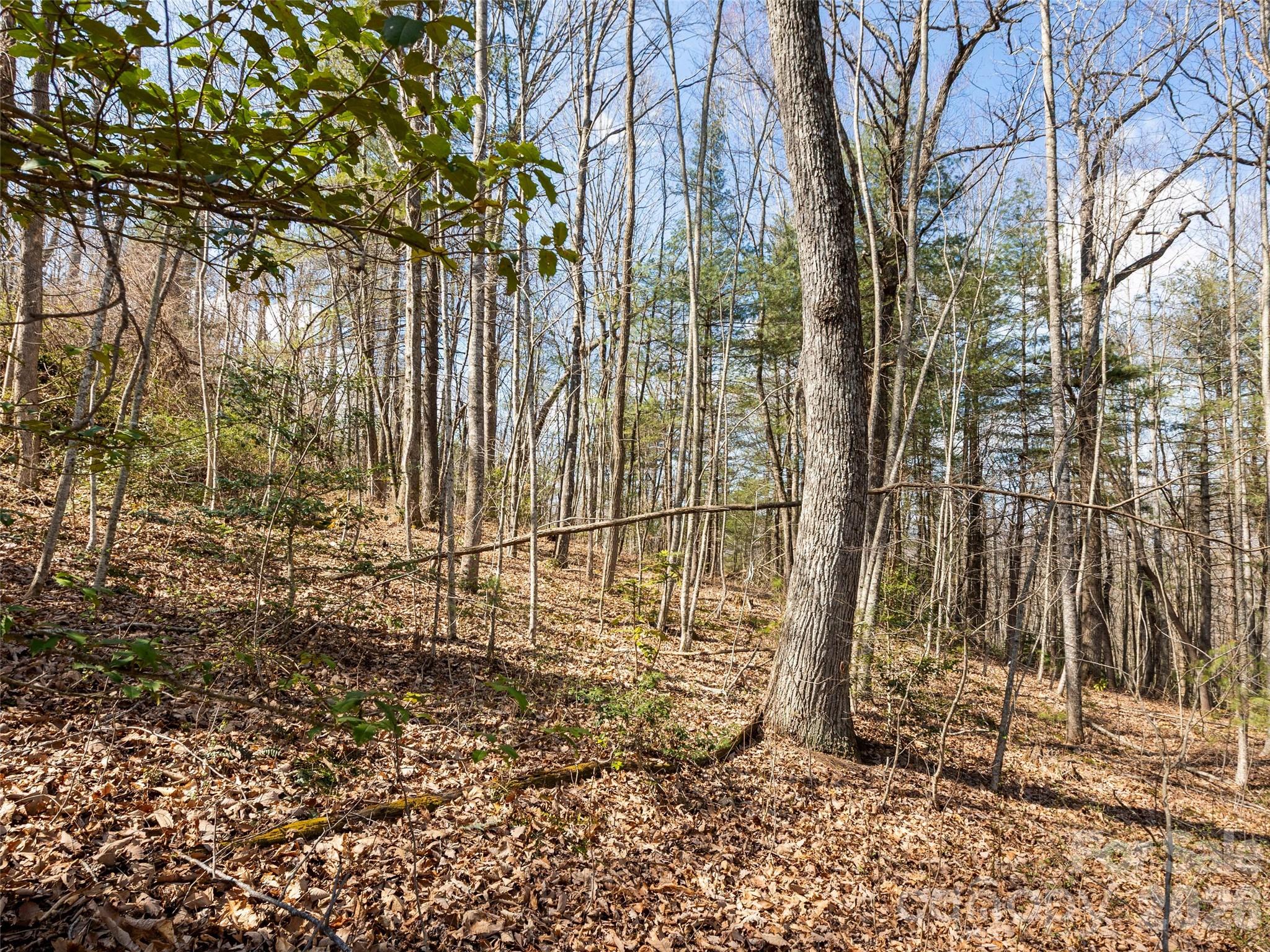 96 Turkey Roost Court Property Photo 12