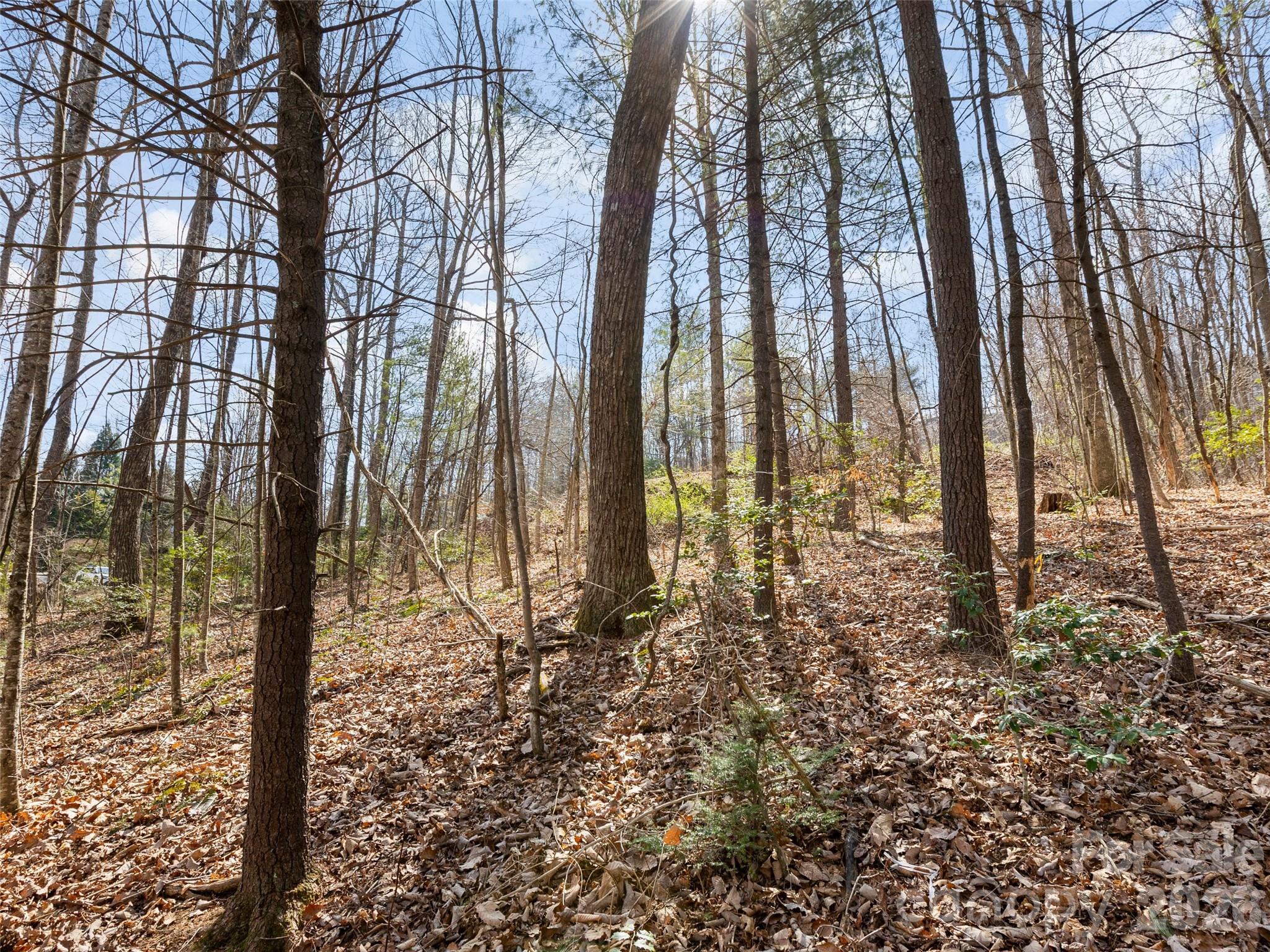 96 Turkey Roost Court Property Photo 13