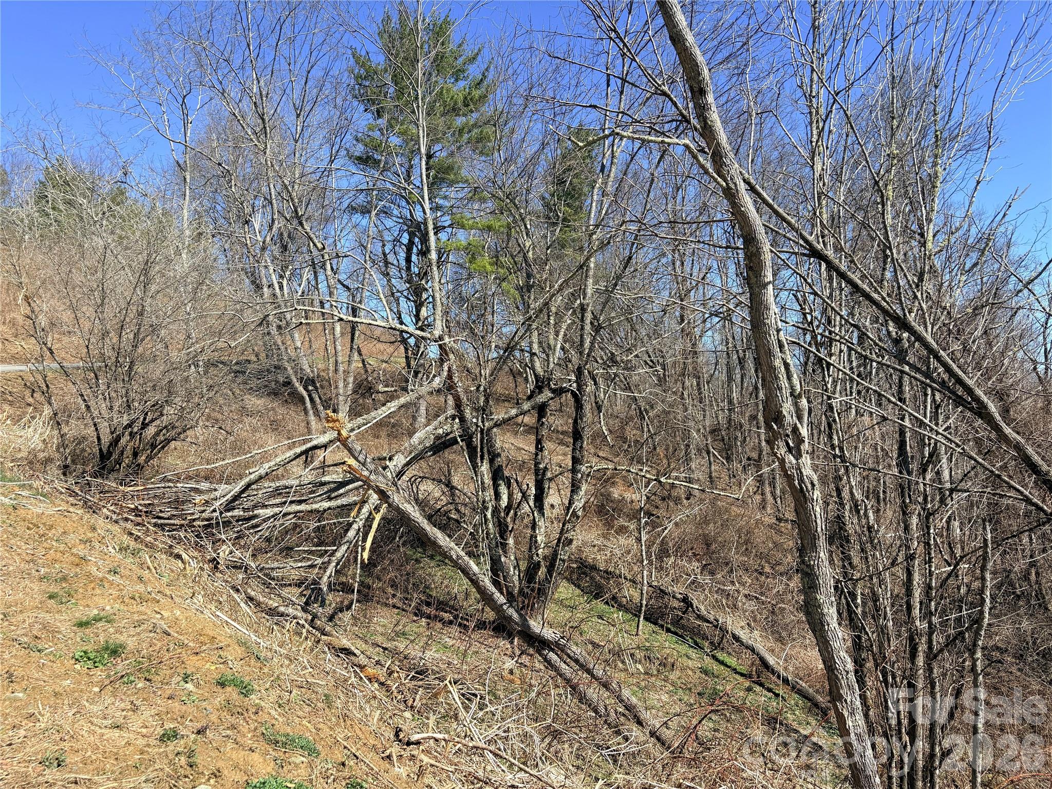 Lot 67 Linhigh Drive Property Photo 3