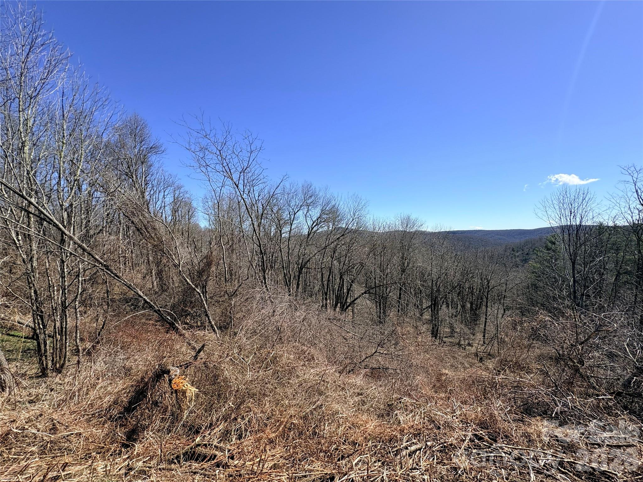 Lot 67 Linhigh Drive Property Photo 5