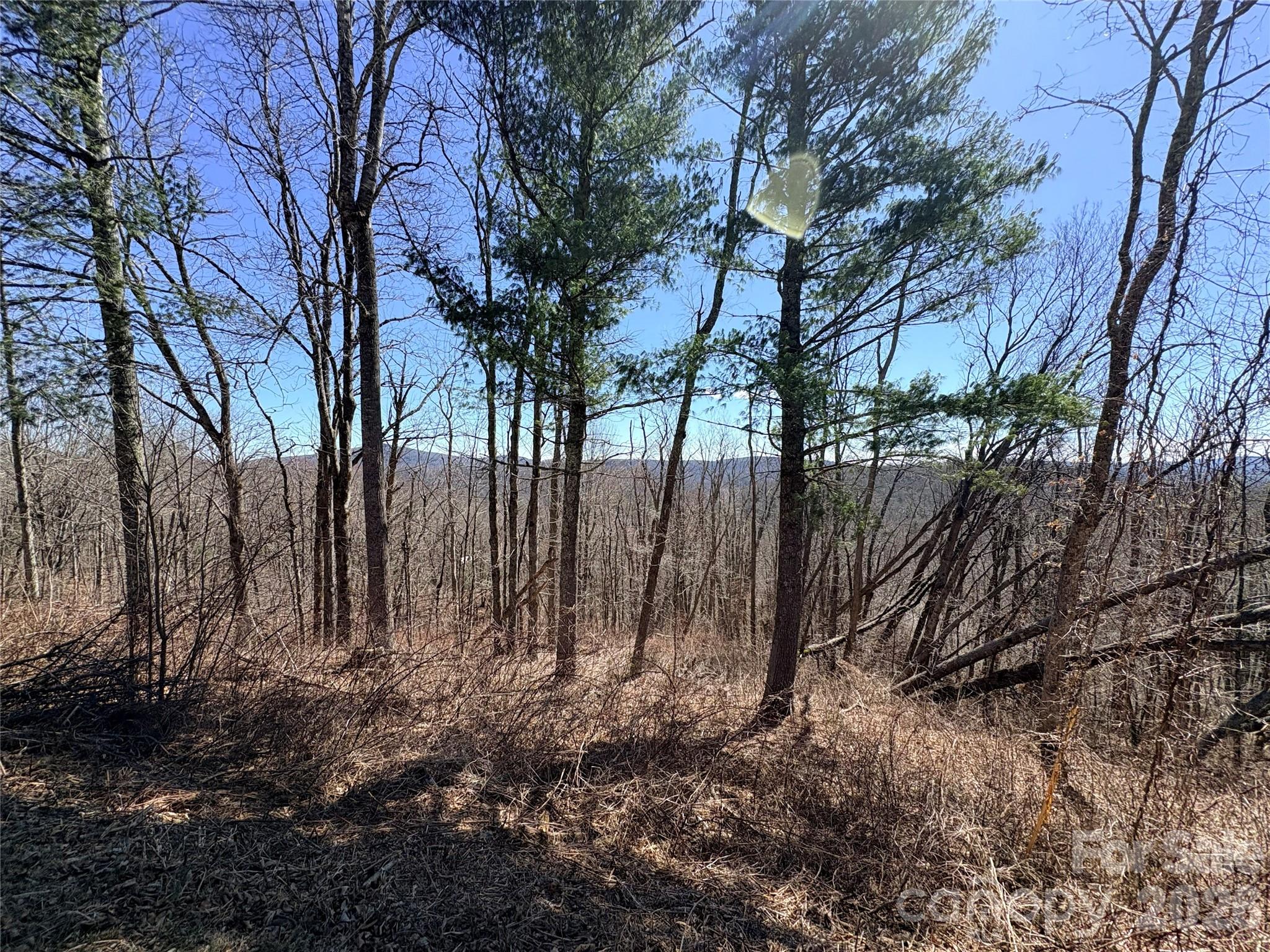 Lot 67 Linhigh Drive Property Photo 8