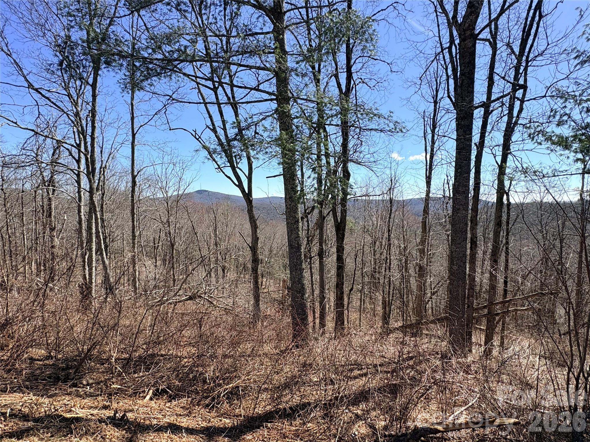 Lot 67 Linhigh Drive Property Photo 10