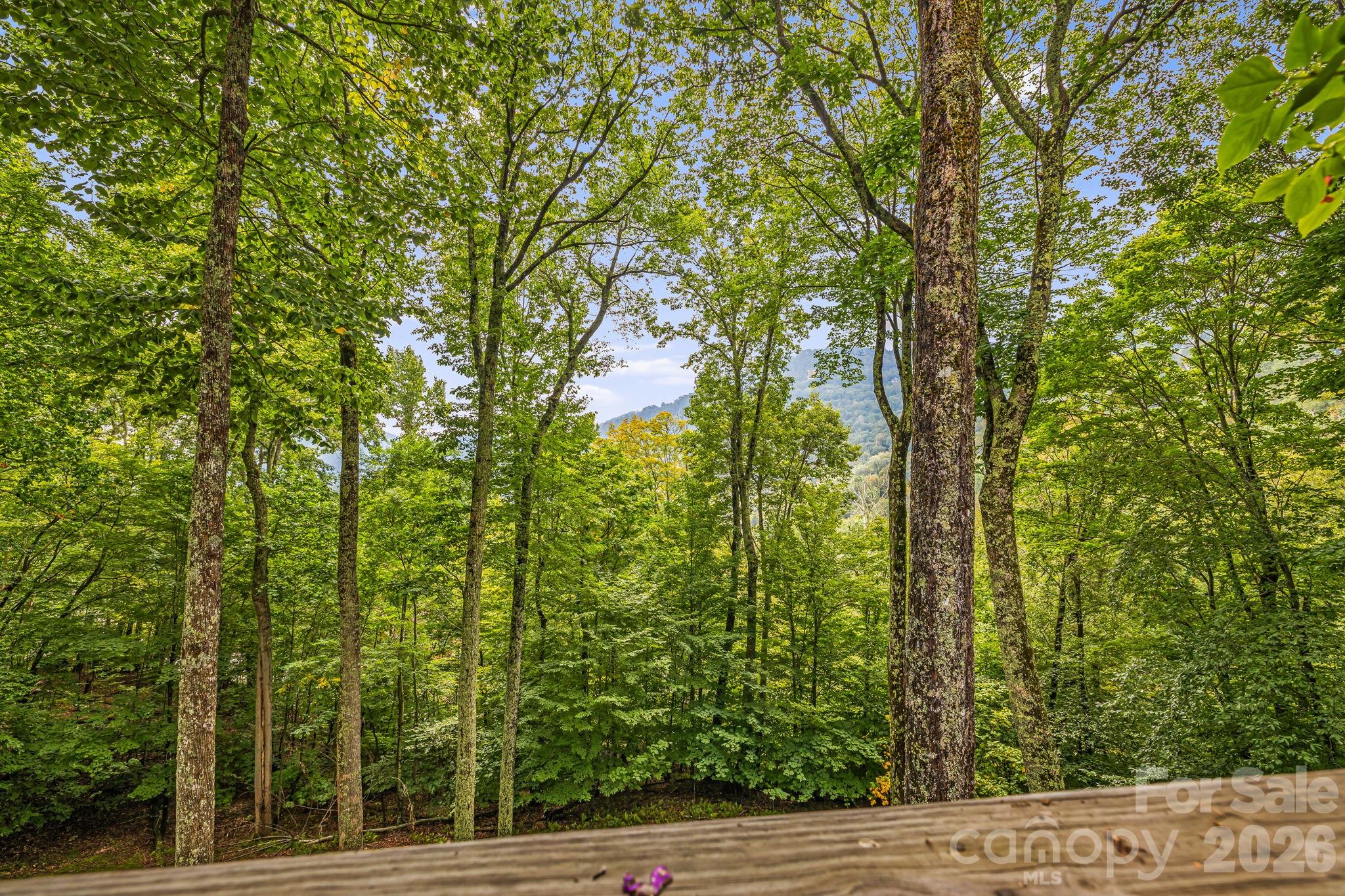 215 Goldenleaf Road Property Photo 37