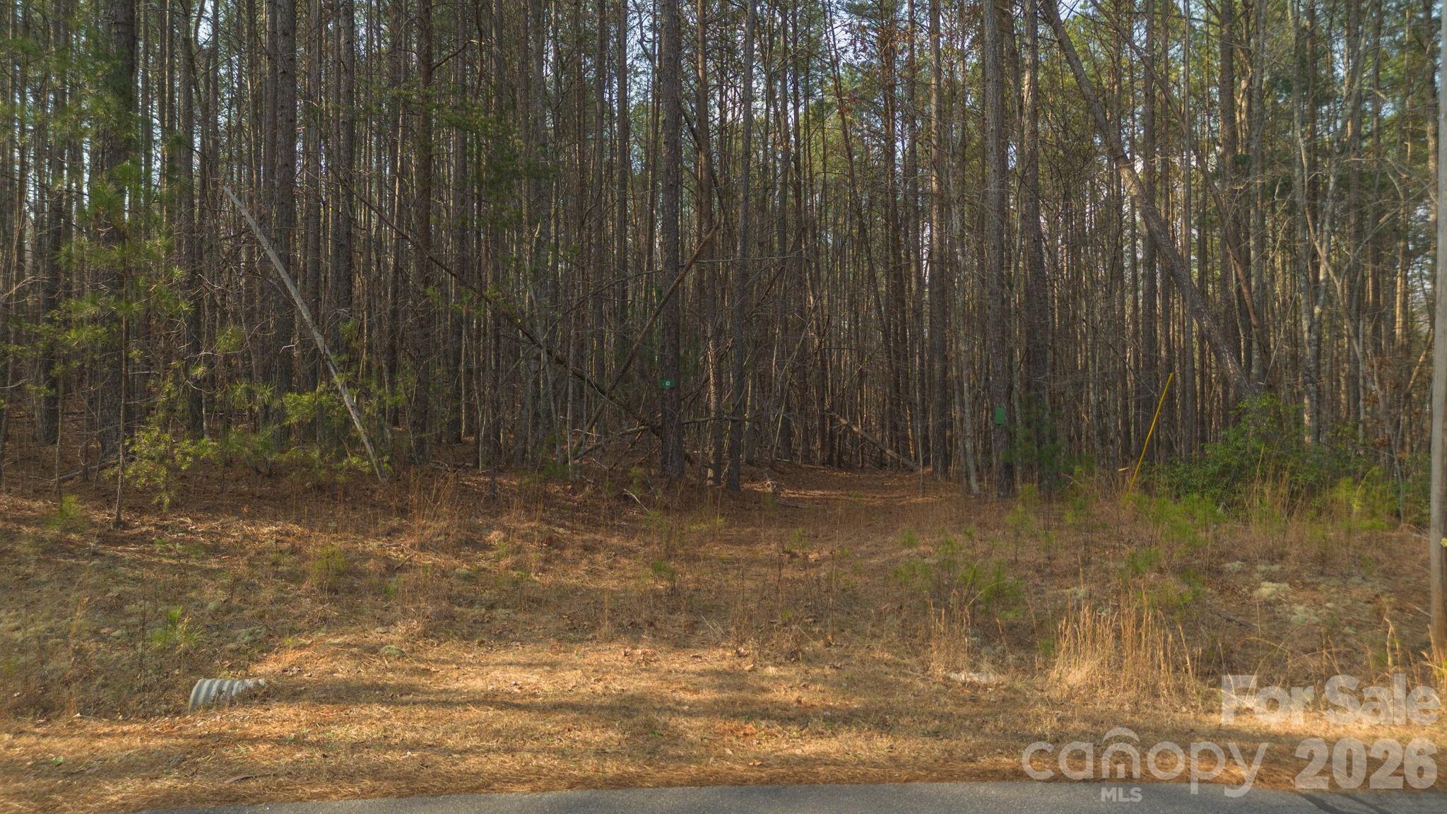 4196 South View Boulevard Property Photo 9