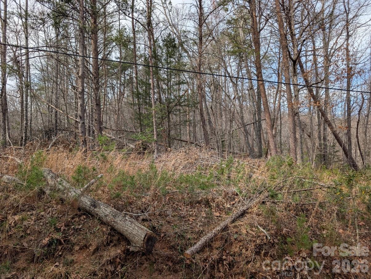 4960 Singleton Drive Property Photo 4