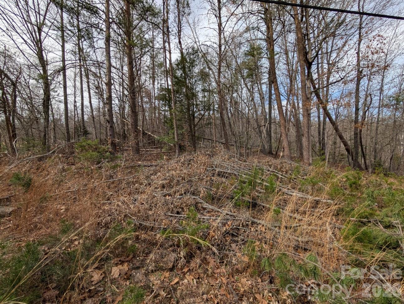 4960 Singleton Drive Property Photo 5