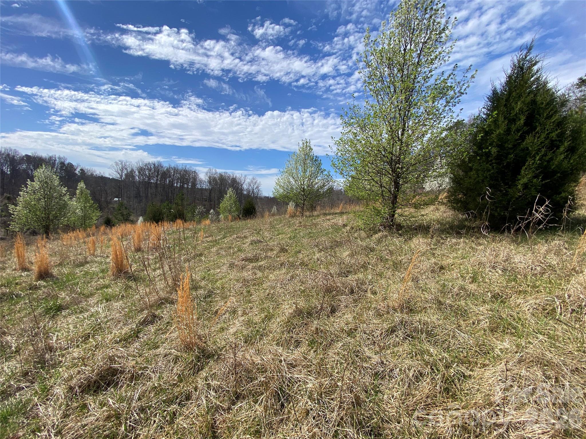 0 Coxe Road Property Photo 19