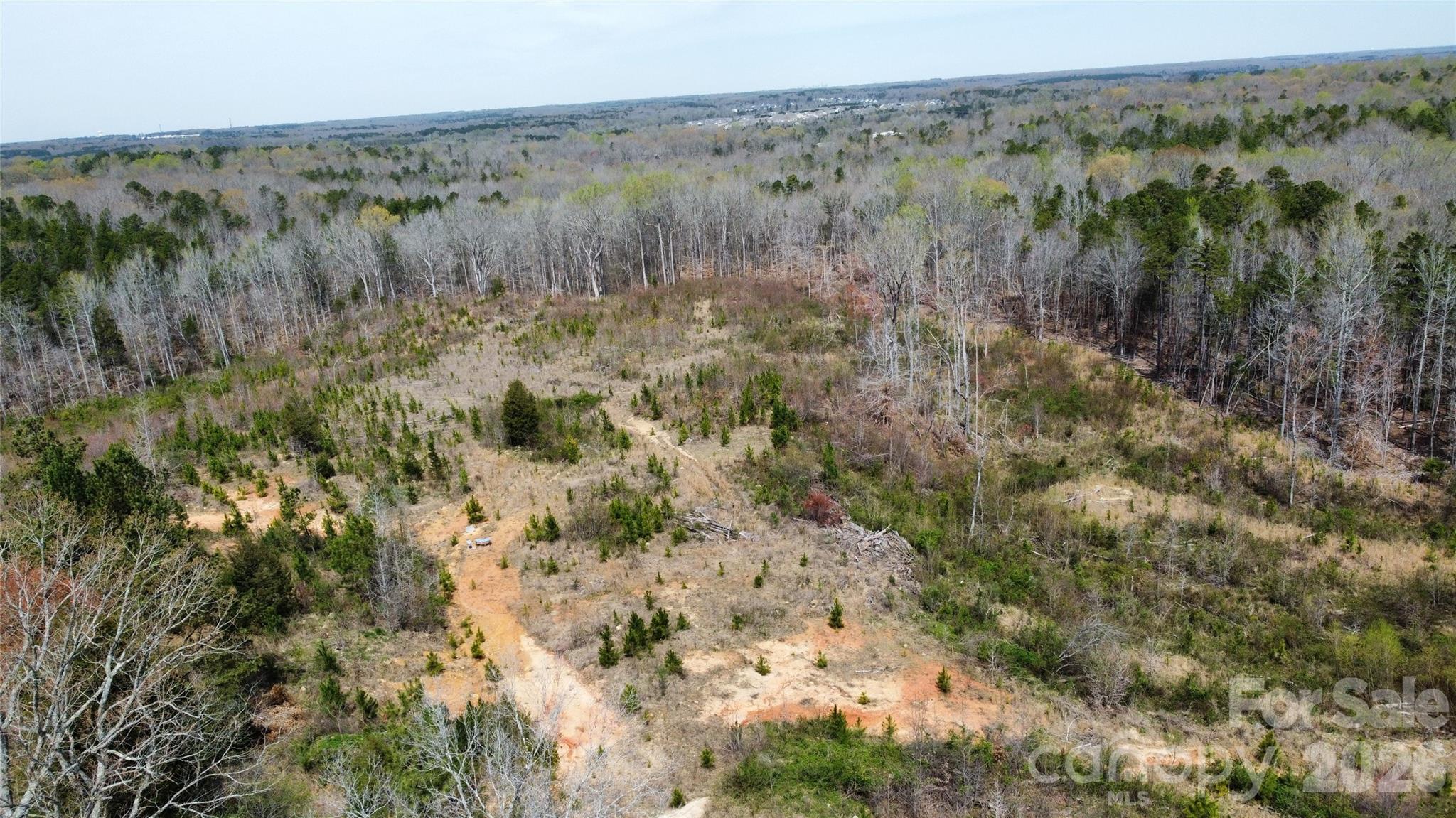 6327 Witherspoon Trail Property Photo 10