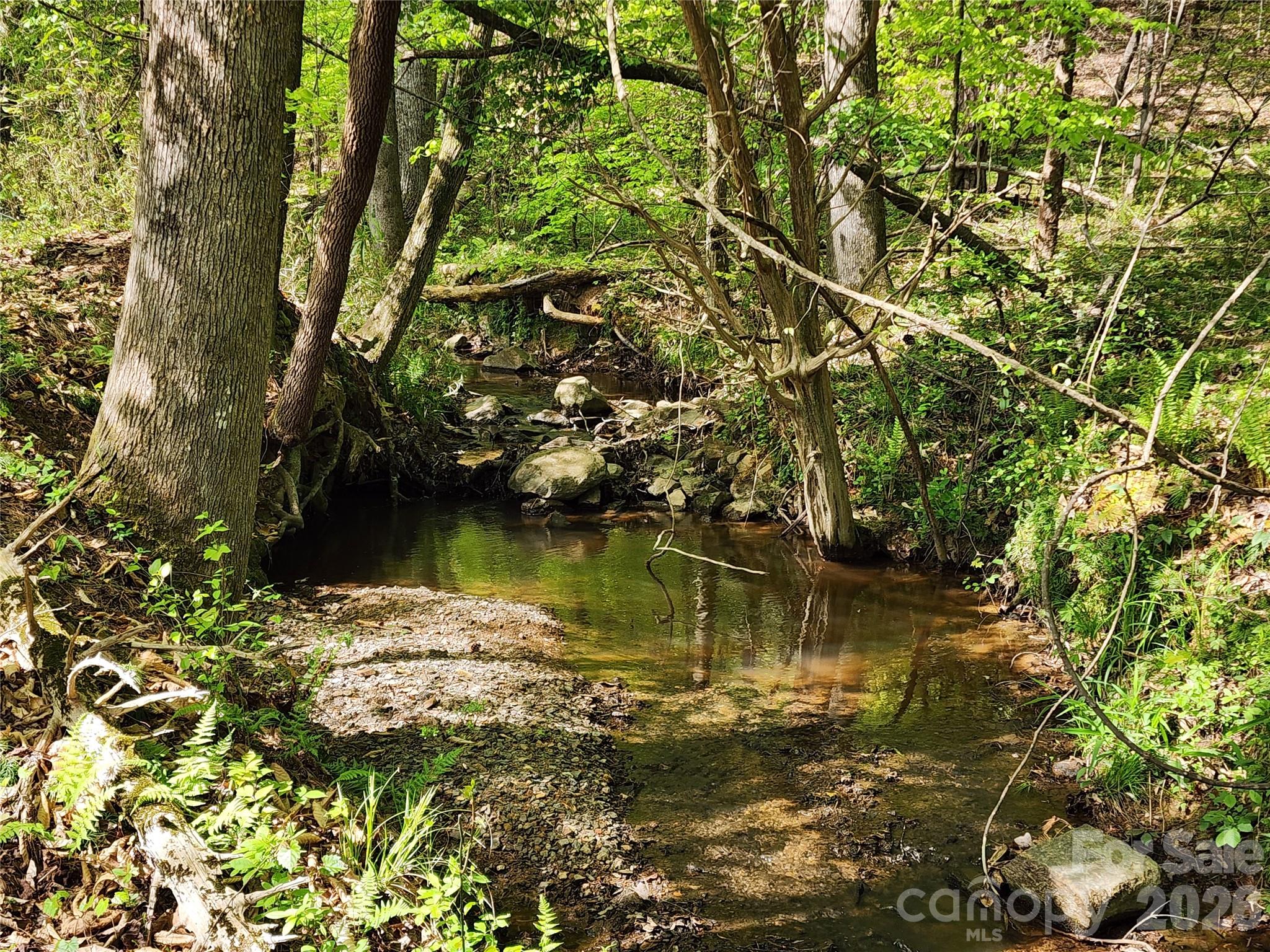 6327 Witherspoon Trail Property Photo 17