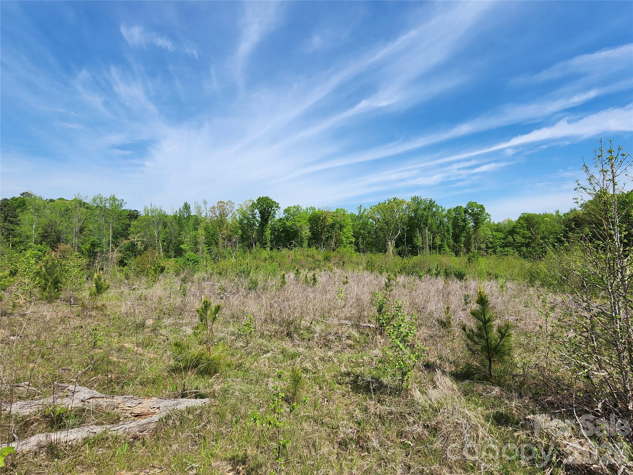 6327 Witherspoon Trail Property Photo 19
