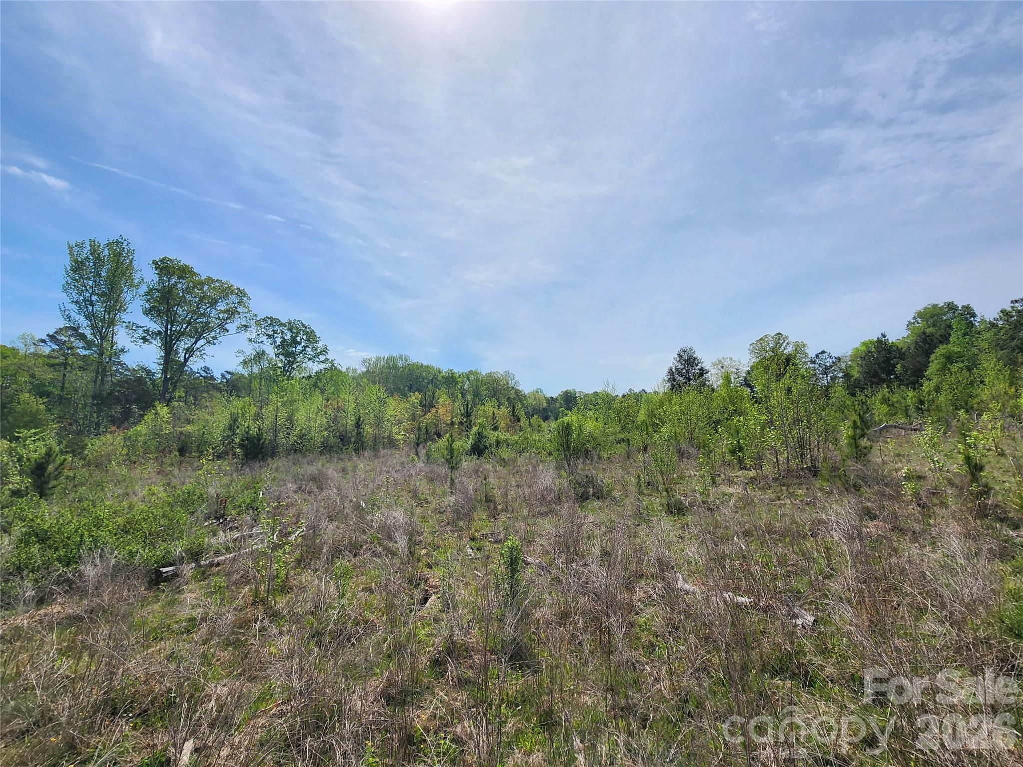 6327 Witherspoon Trail Property Photo 20