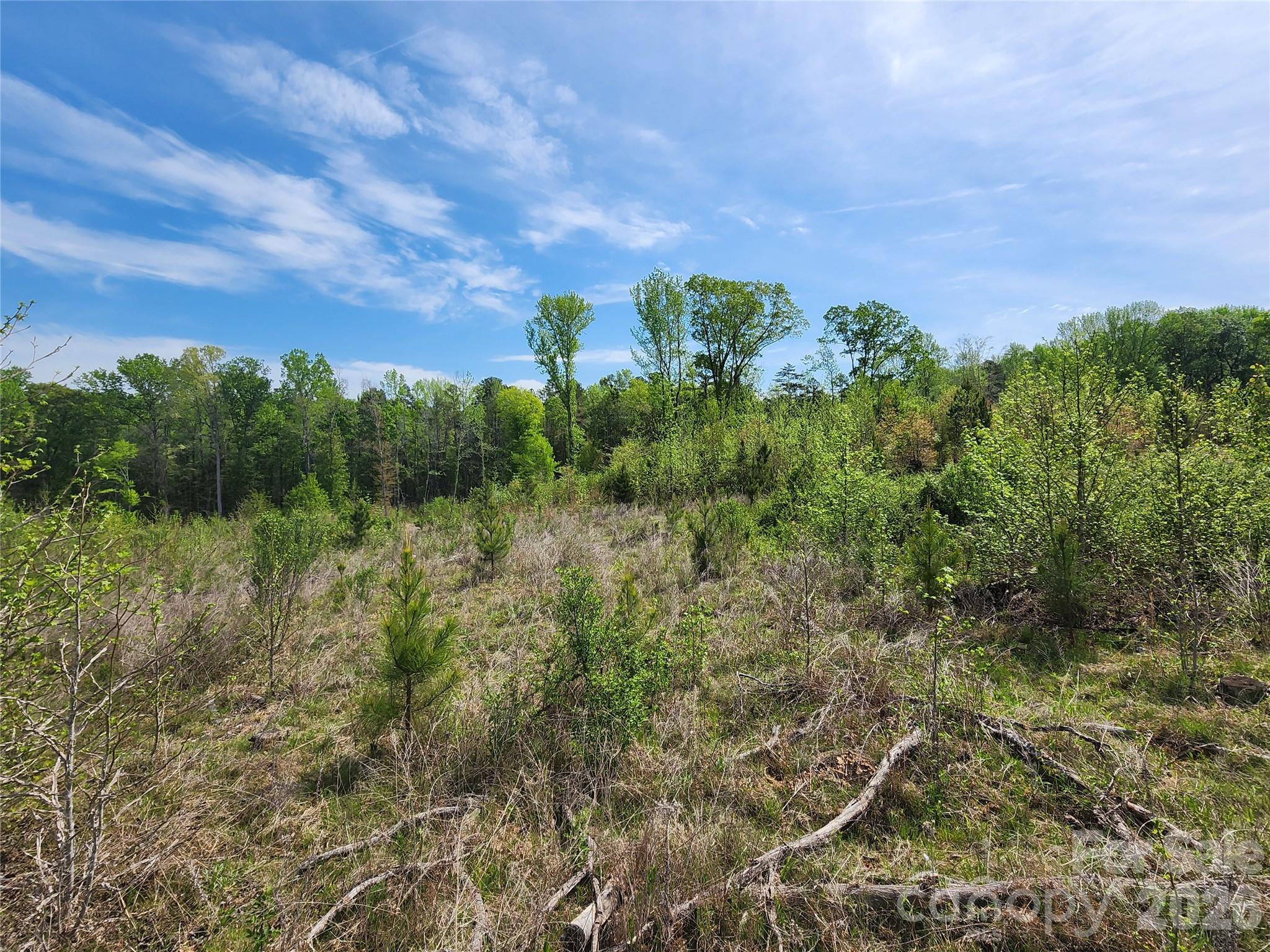 6327 Witherspoon Trail Property Photo 21