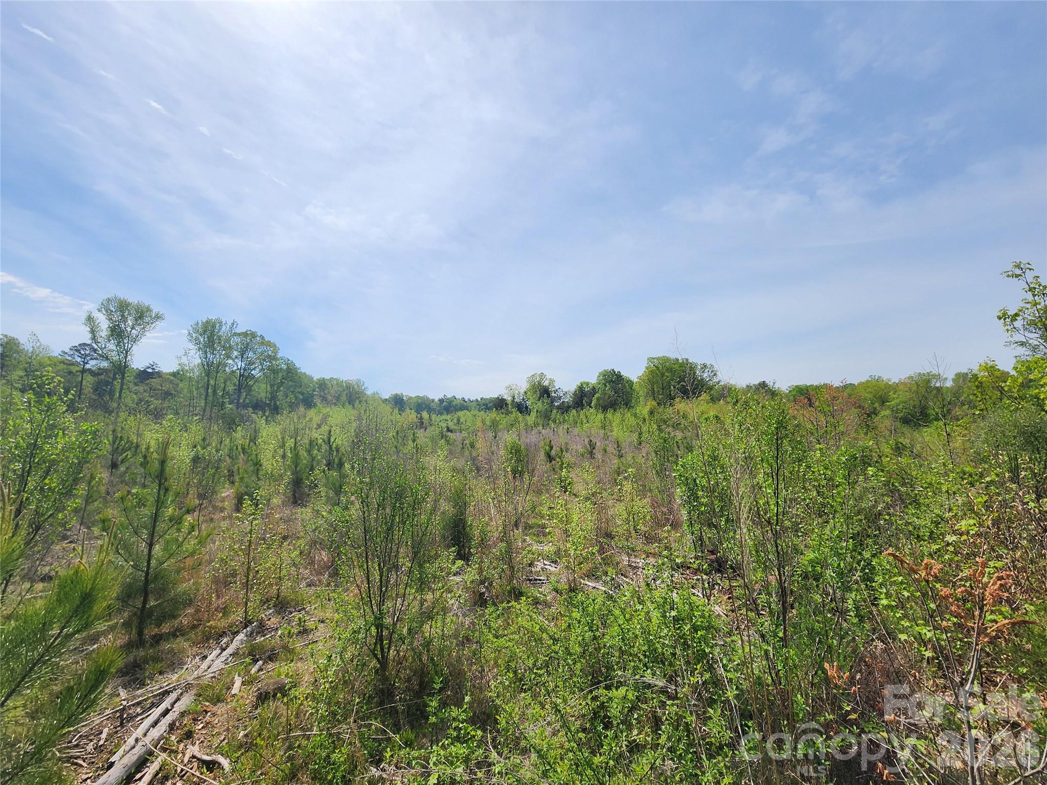 6327 Witherspoon Trail Property Photo 22