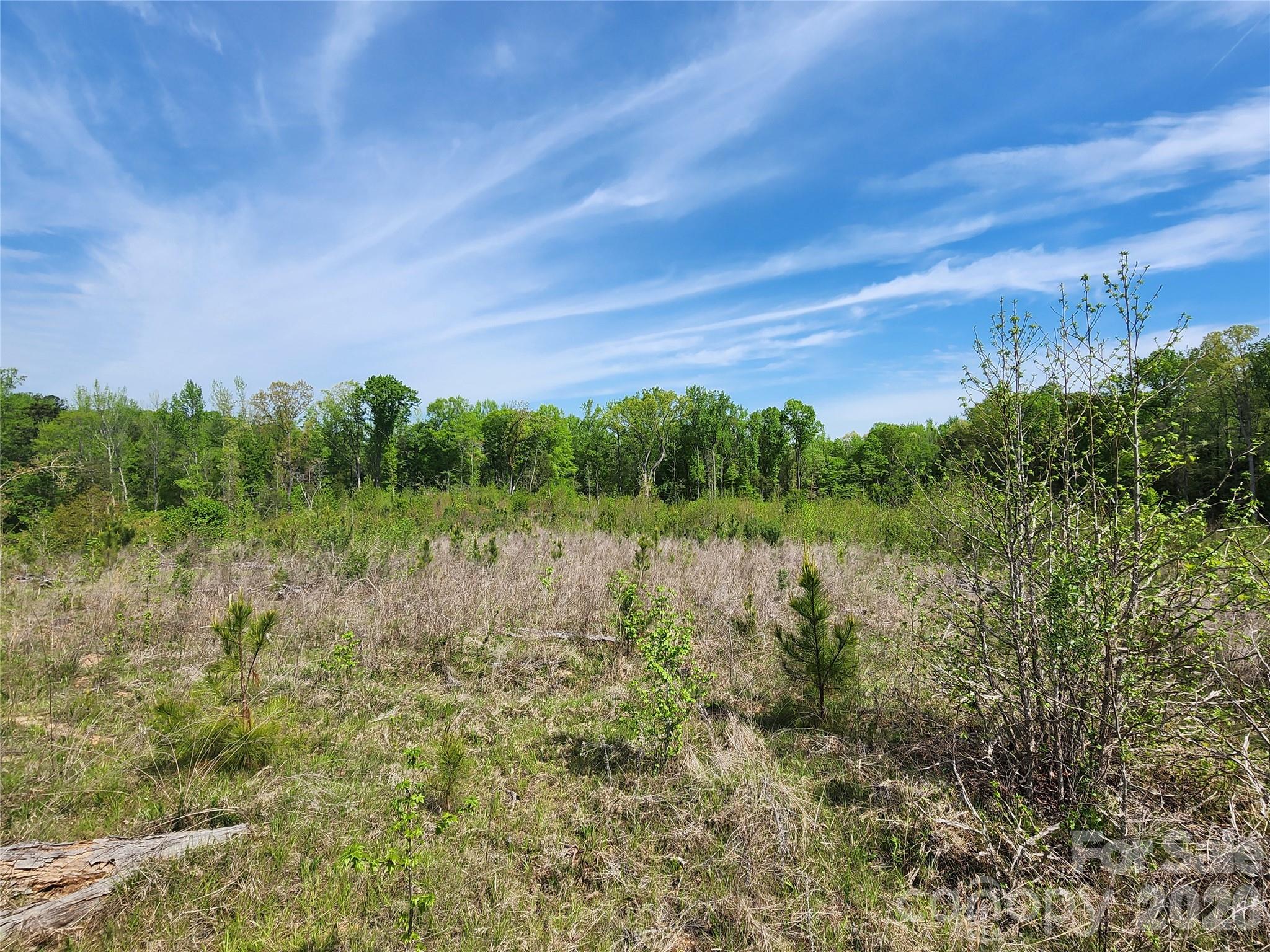 6327 Witherspoon Trail Property Photo 23