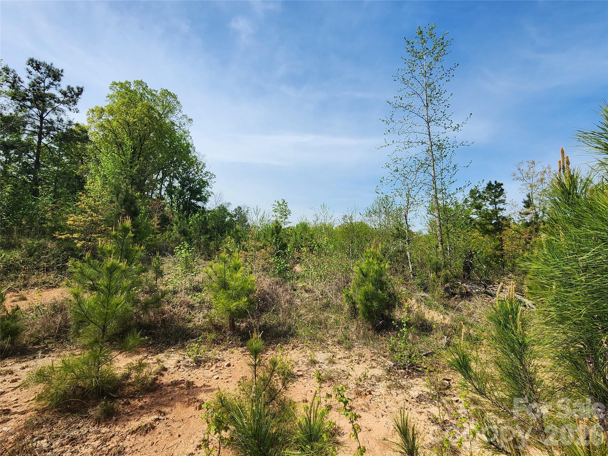 6327 Witherspoon Trail Property Photo 27
